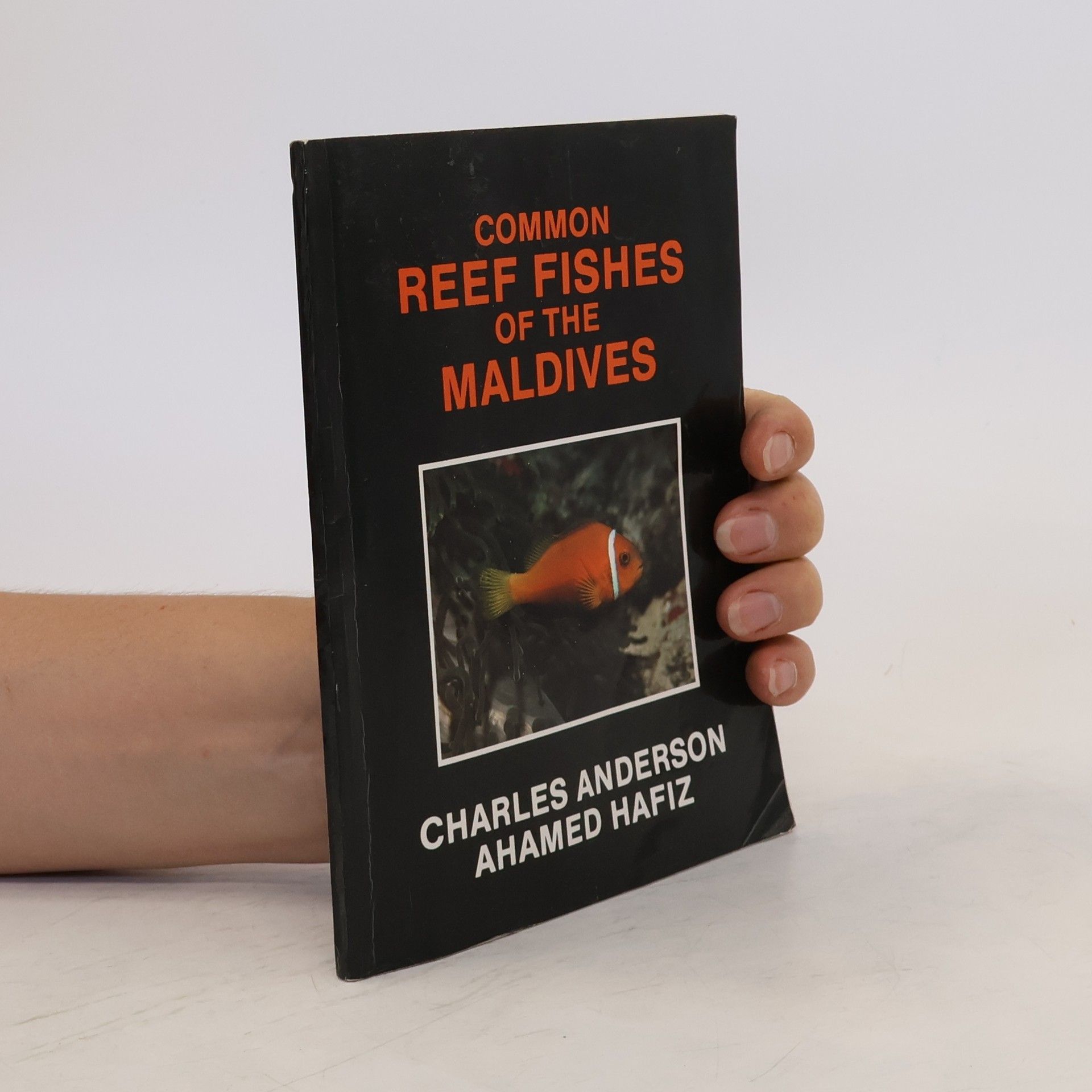 Charles Anderson Common Reef Fishes of the Maldives