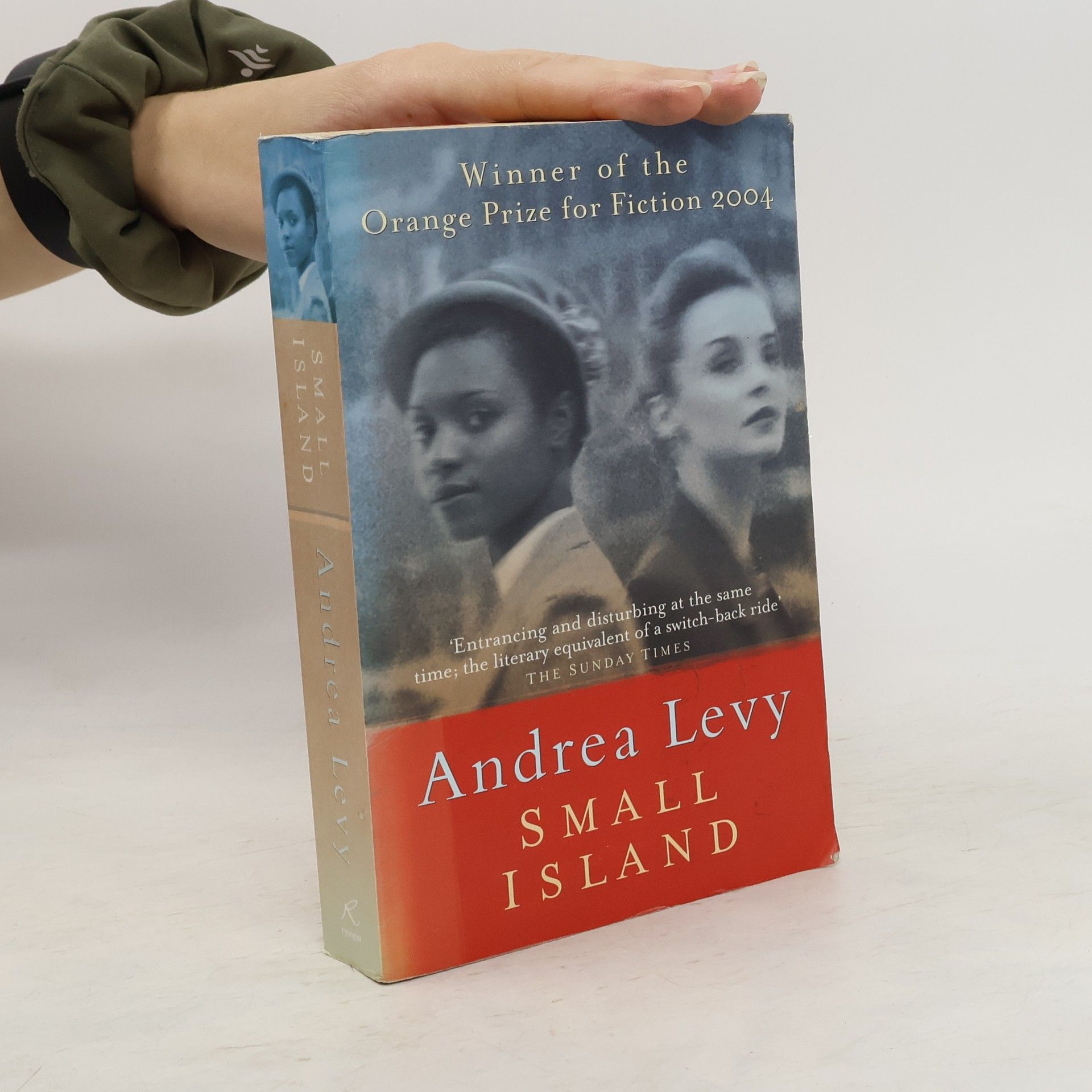Andrea Levy Small Island