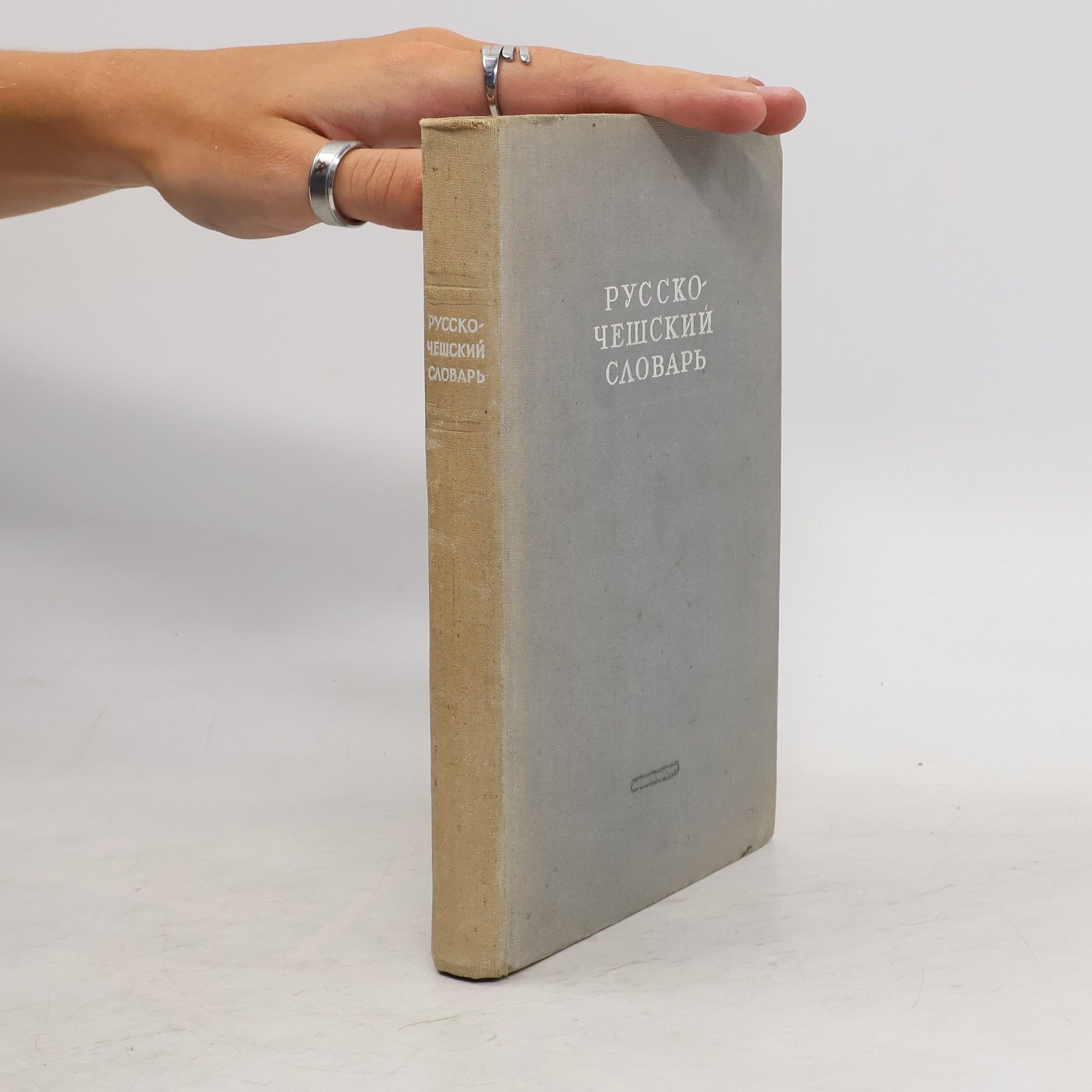 Autorenkollektiv Русско-чешский словарь