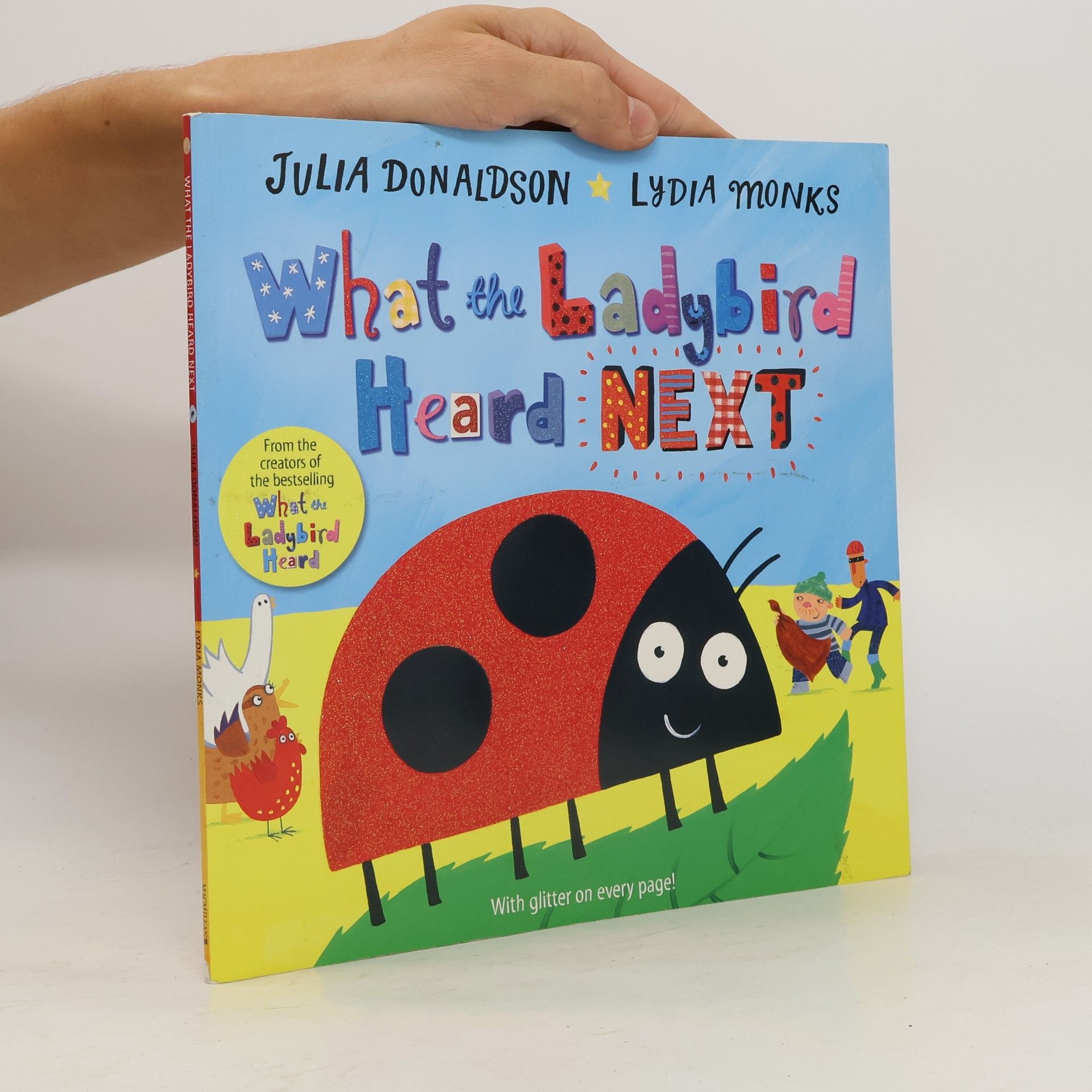 Julia Donaldson What the Ladybird Heard Next
