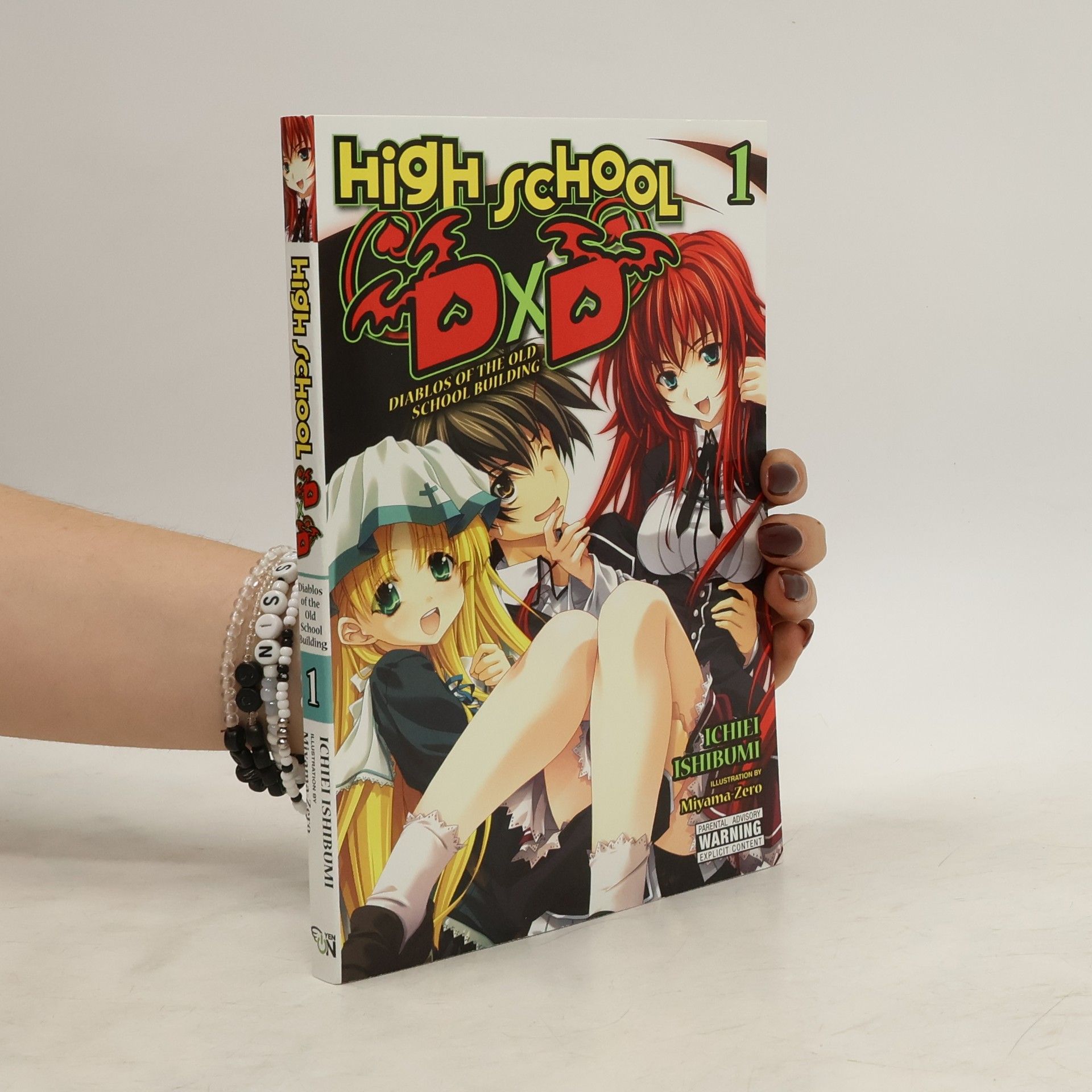 Ichiei Ishibumi High School DxD, Vol. 1 (light novel)