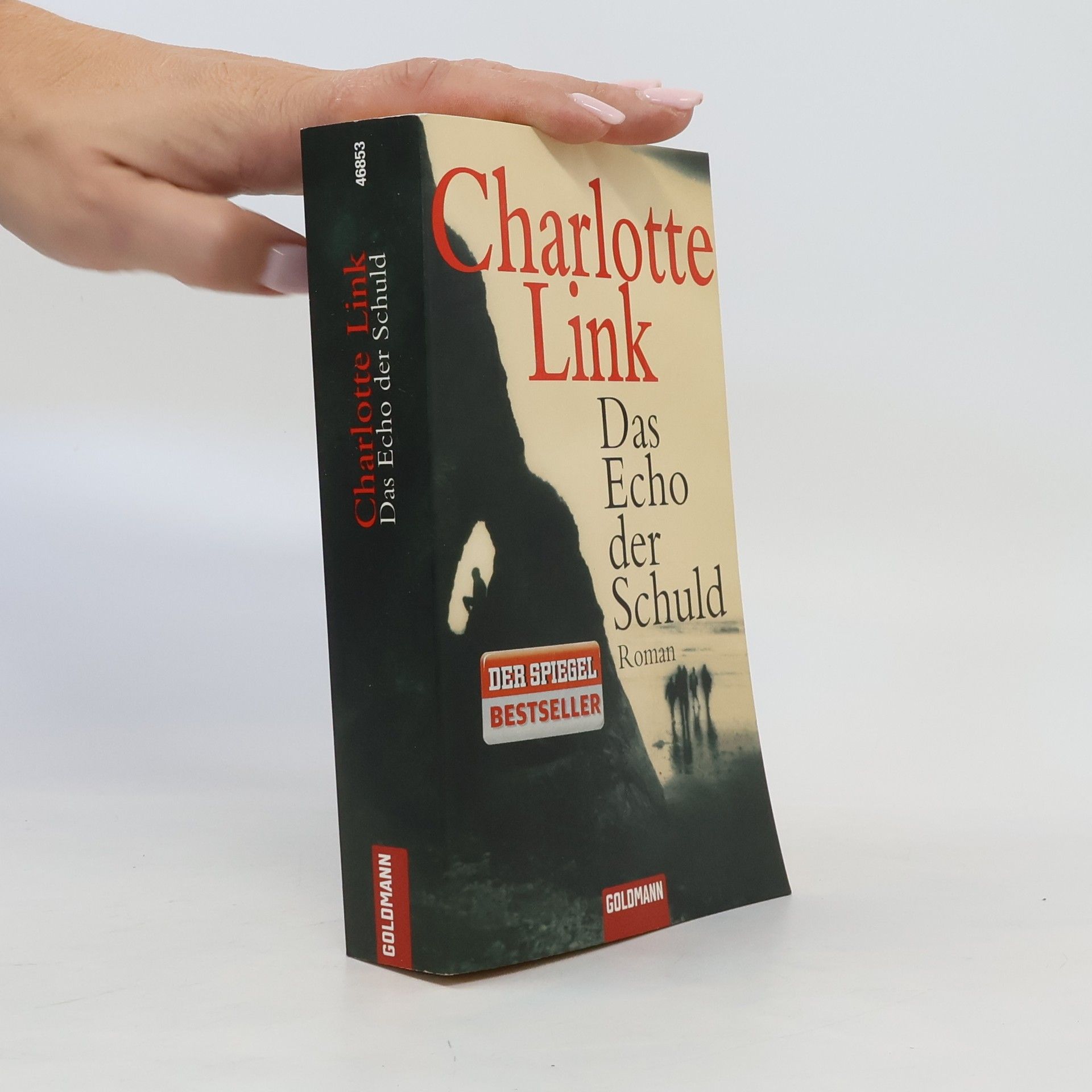 Charlotte Link Das Echo der Schuld