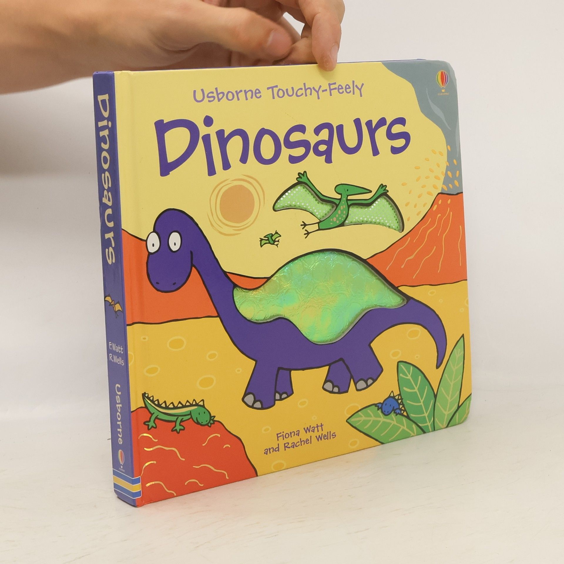 Fiona Watt Dinosaurs