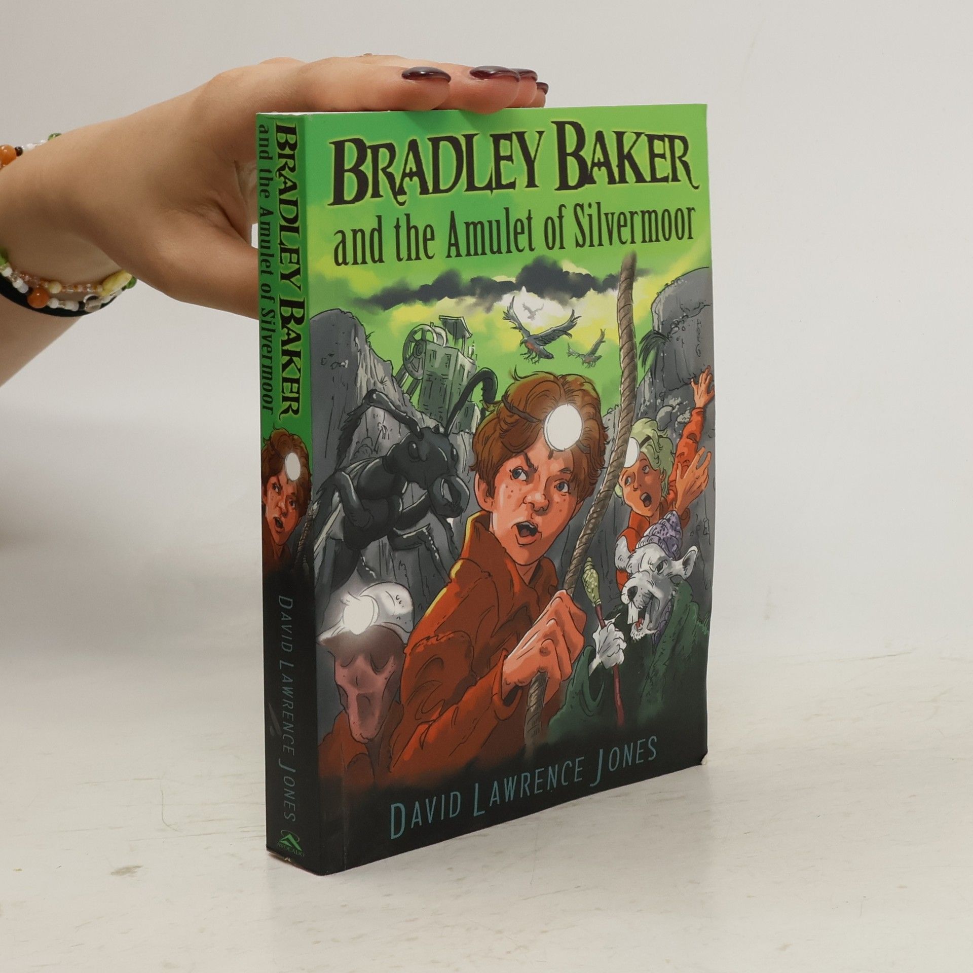 David Lawrence Jones Bradley Baker and the Amulet of Silvermoor