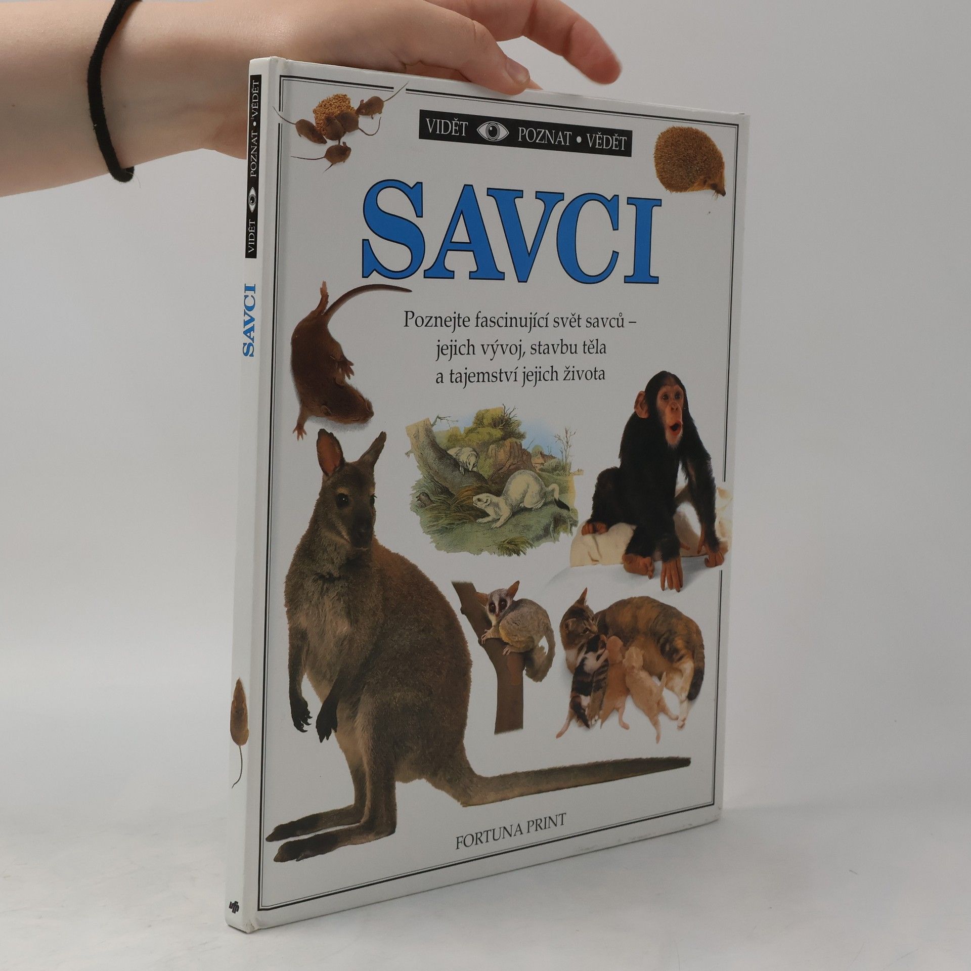 Steve Parker Savci