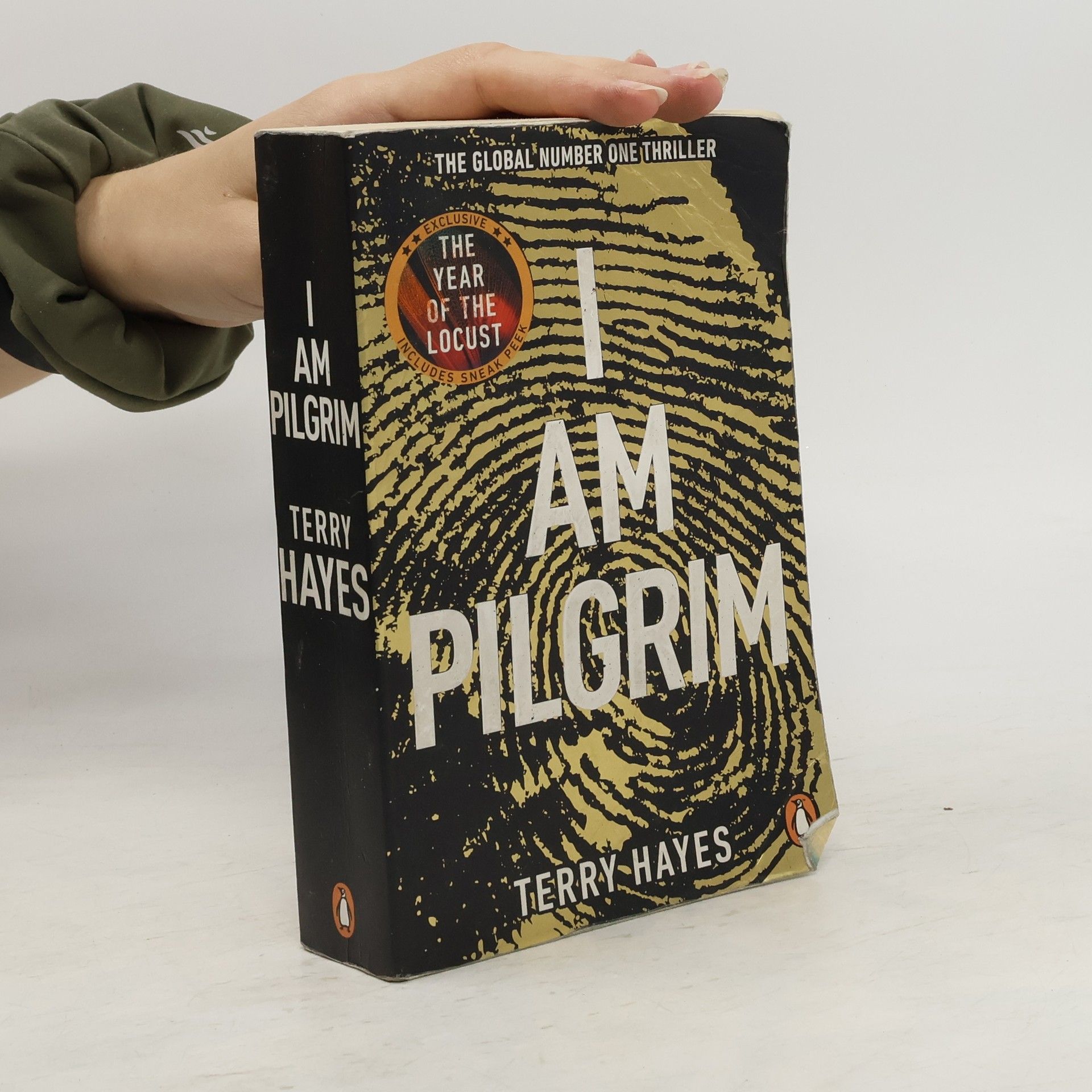 Terry Hayes I am pilgrim