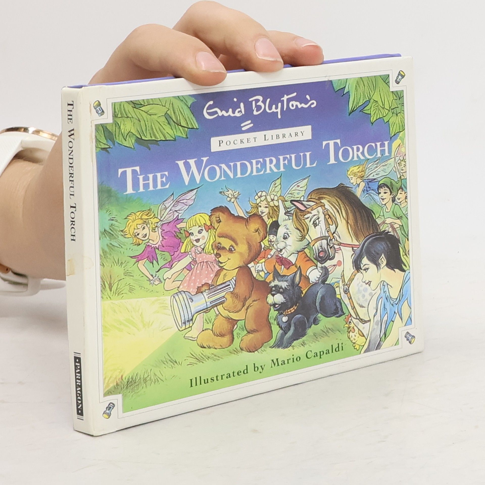Enid Blyton The Wonderful Torch