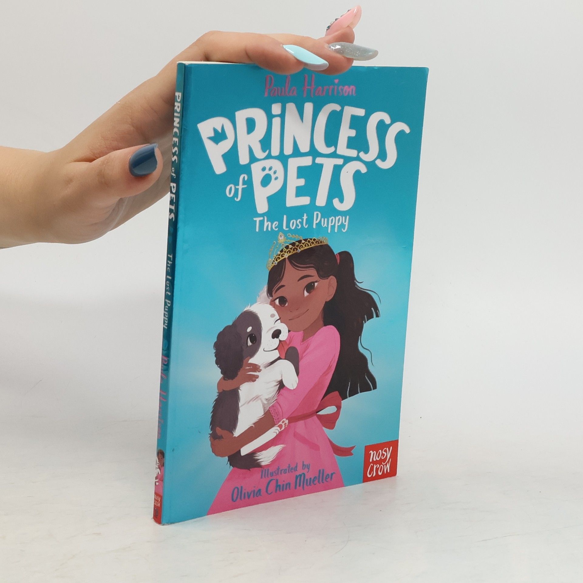 Paula Harrison Princess of Pets: The Lost Puppy
