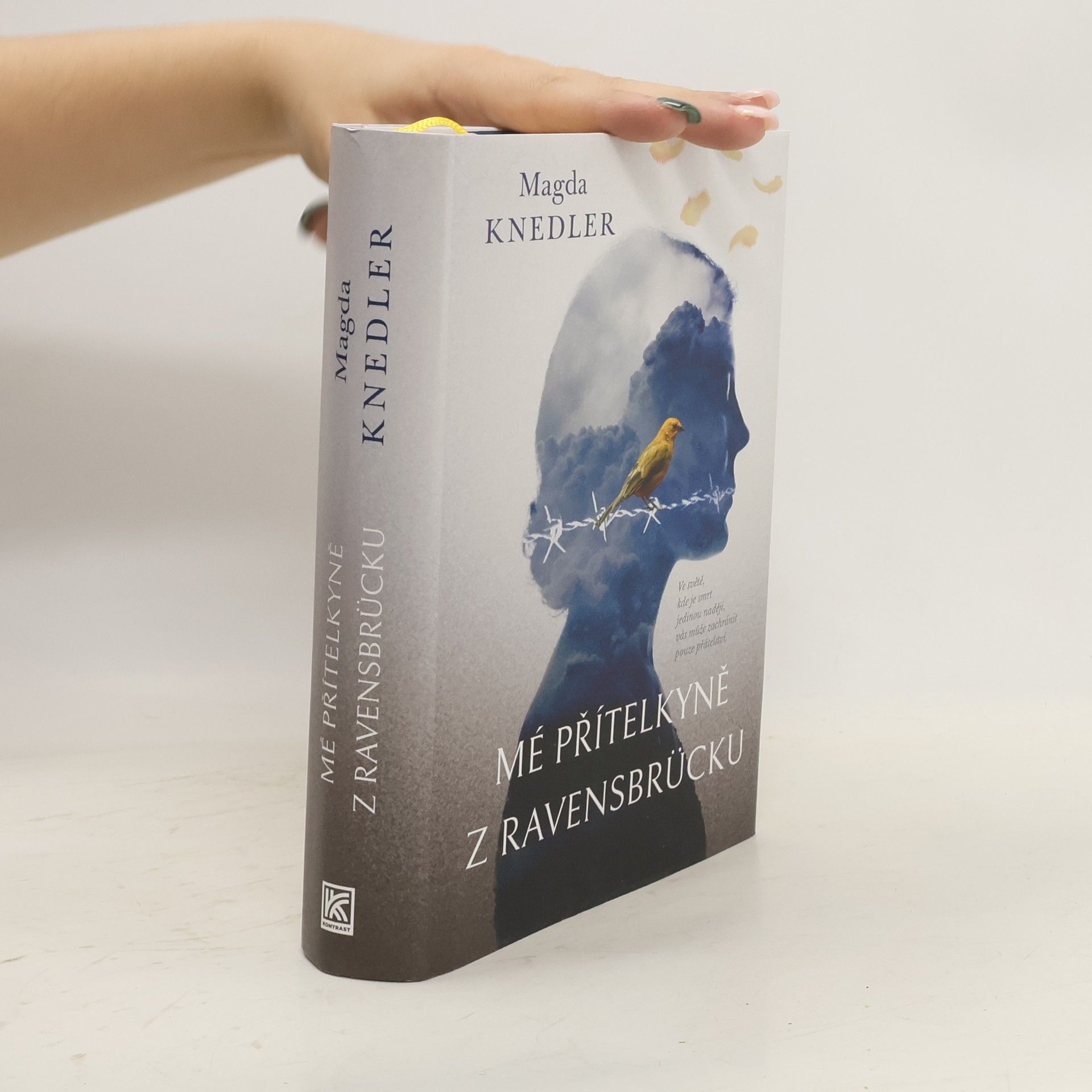 Magdalena Knedler Mé přítelkyně z Ravensbrücku