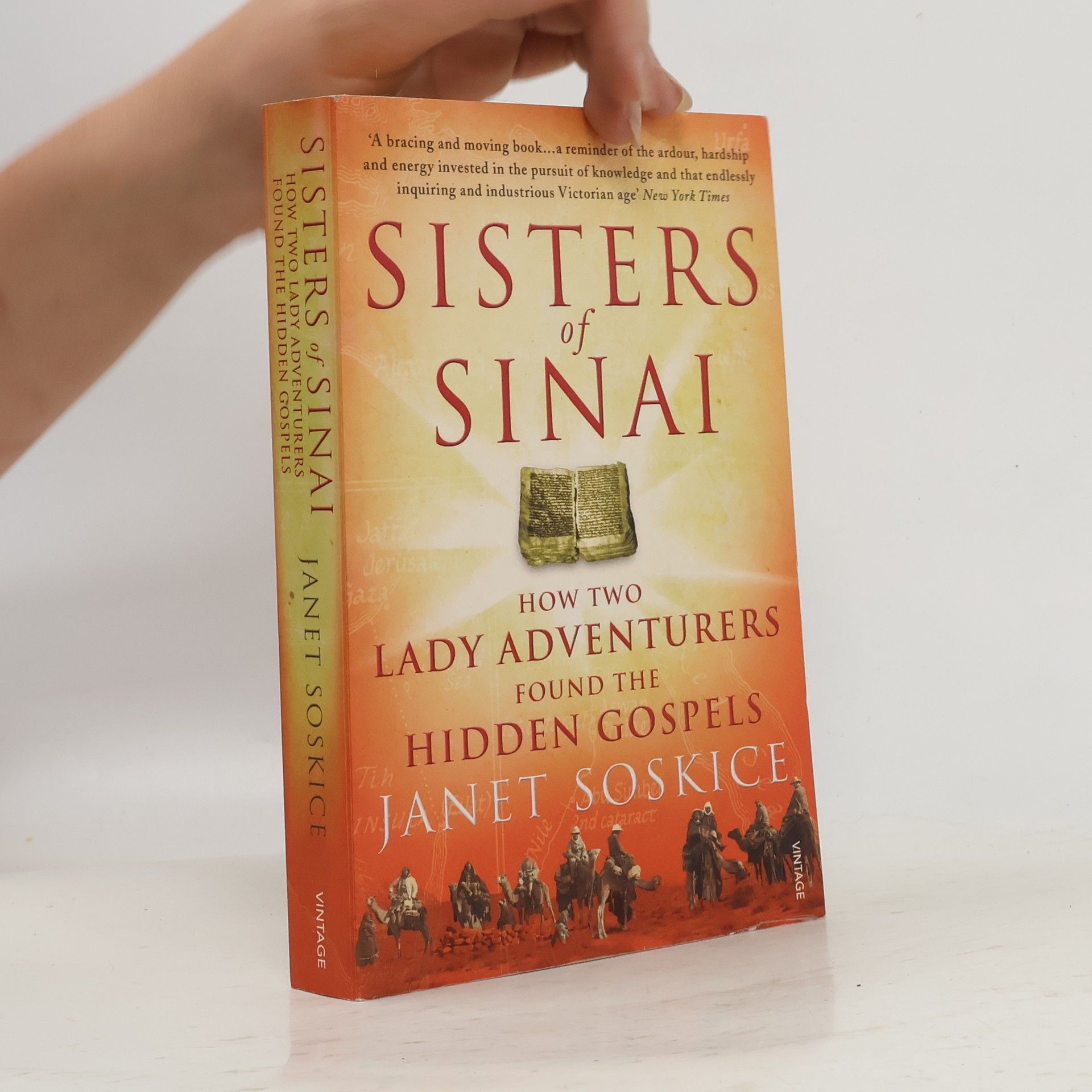 Janet Martin Soskice Sisters of Sinai