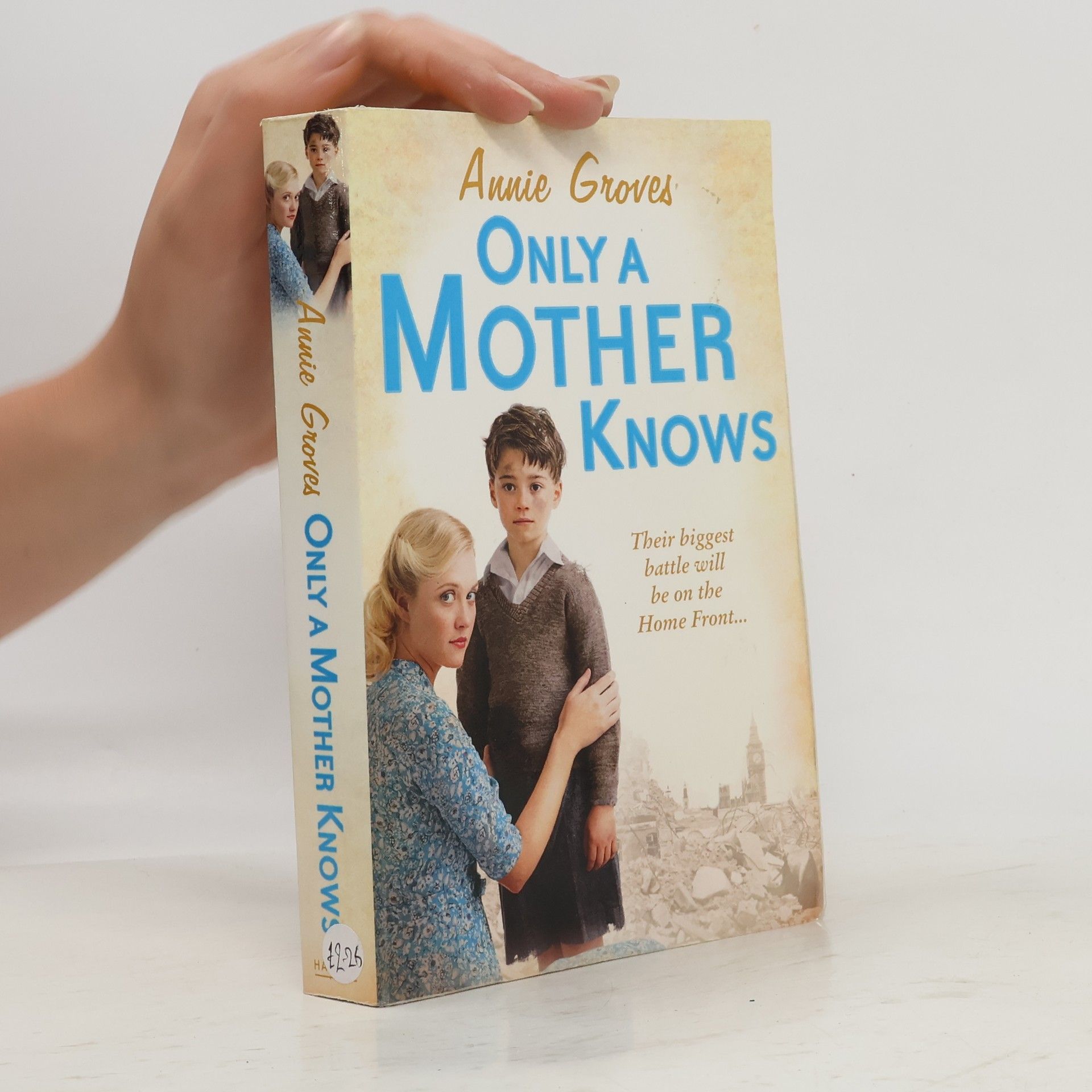 Annie Groves Only a Mother Knows