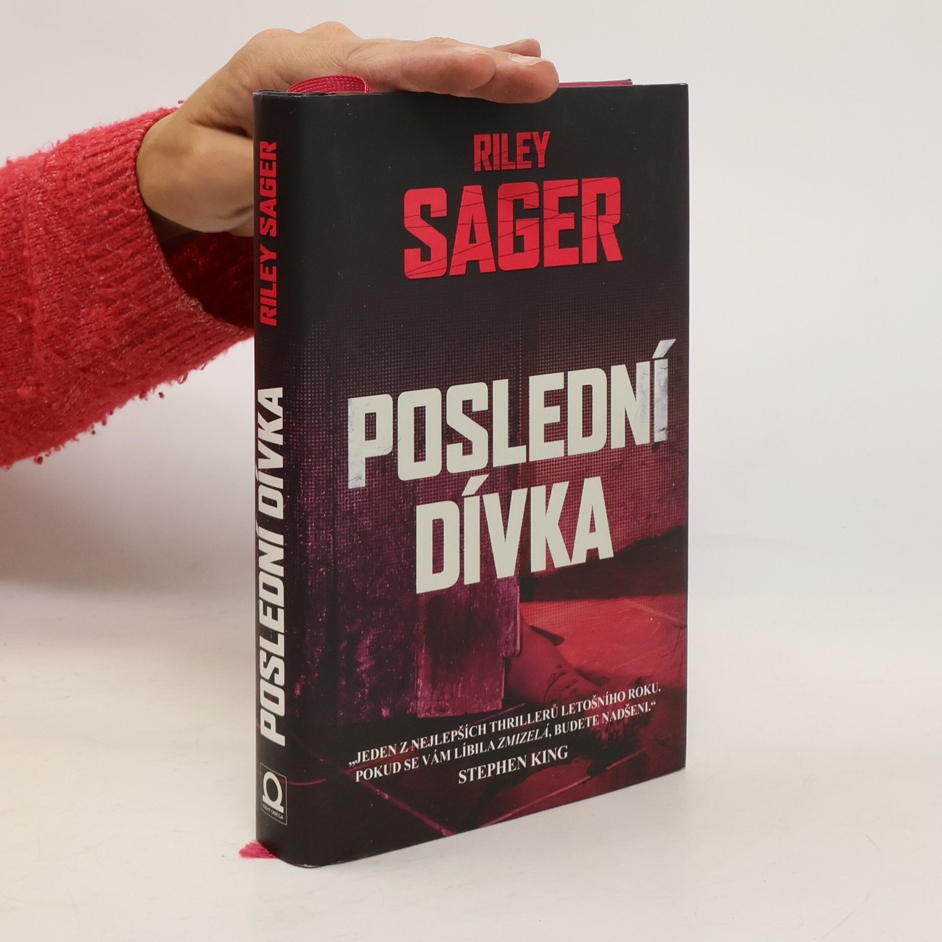 Todd Ritter Poslední dívka
