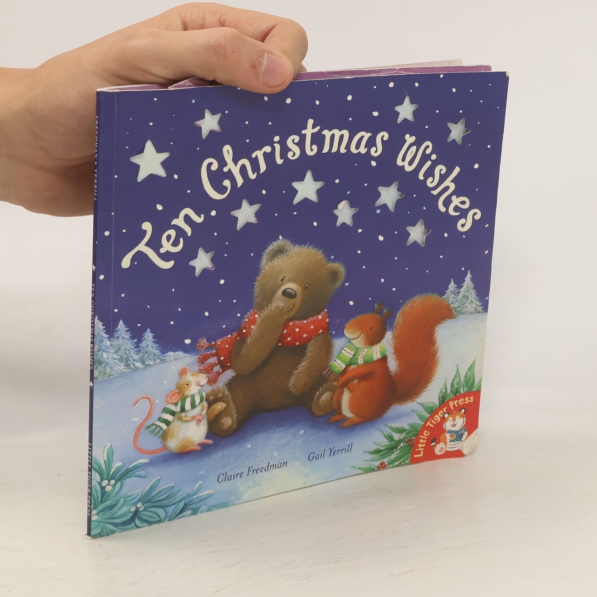 Collectif d'auteurs Ten Christmas Wishes