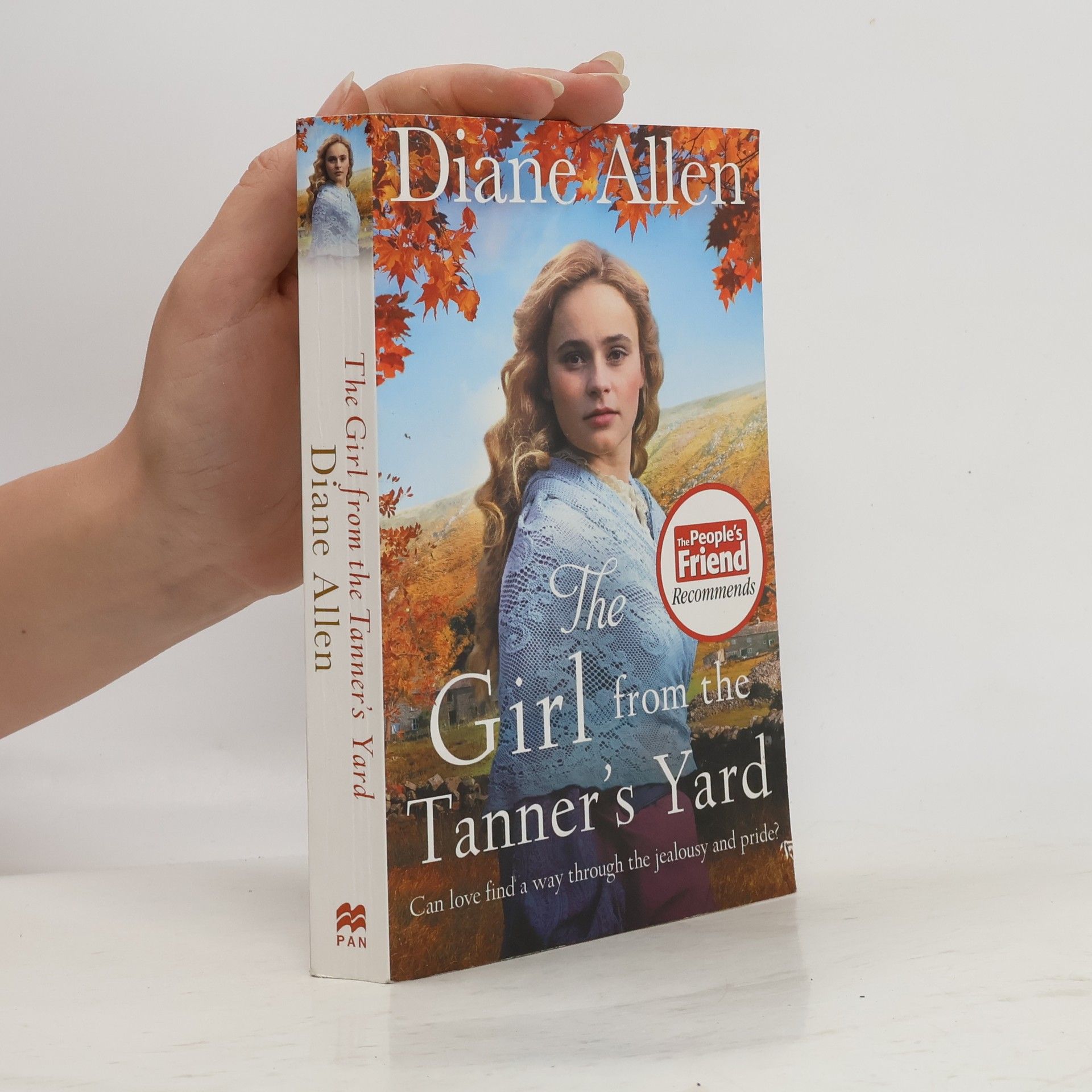 Diane Allen The Girl from the Tanner's Yard