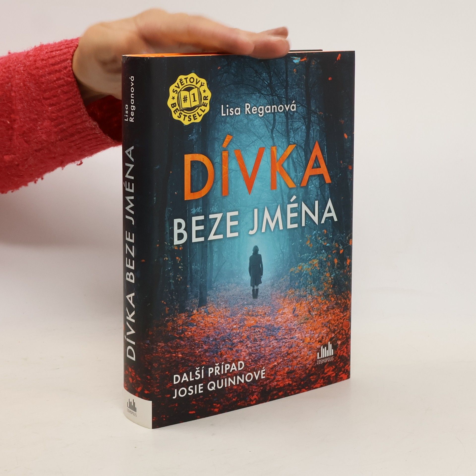 Lisa Regan Dívka beze jména: Další případ Josie Quinnové