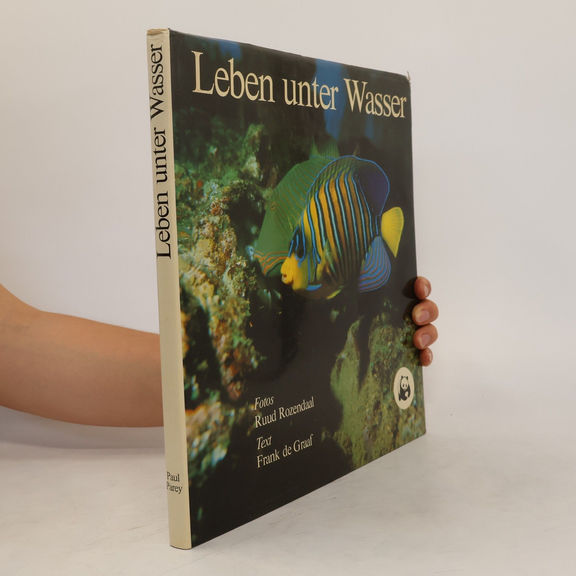 Ruud Rozendaal Leben unter Wasser
