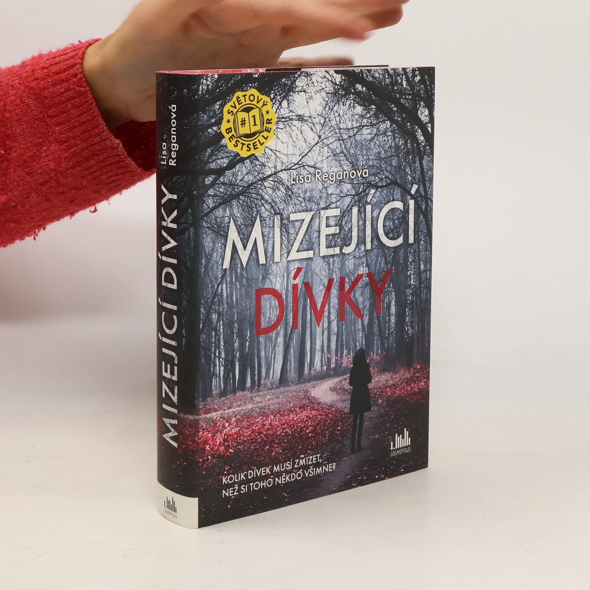 Lisa Regan Mizející dívky
