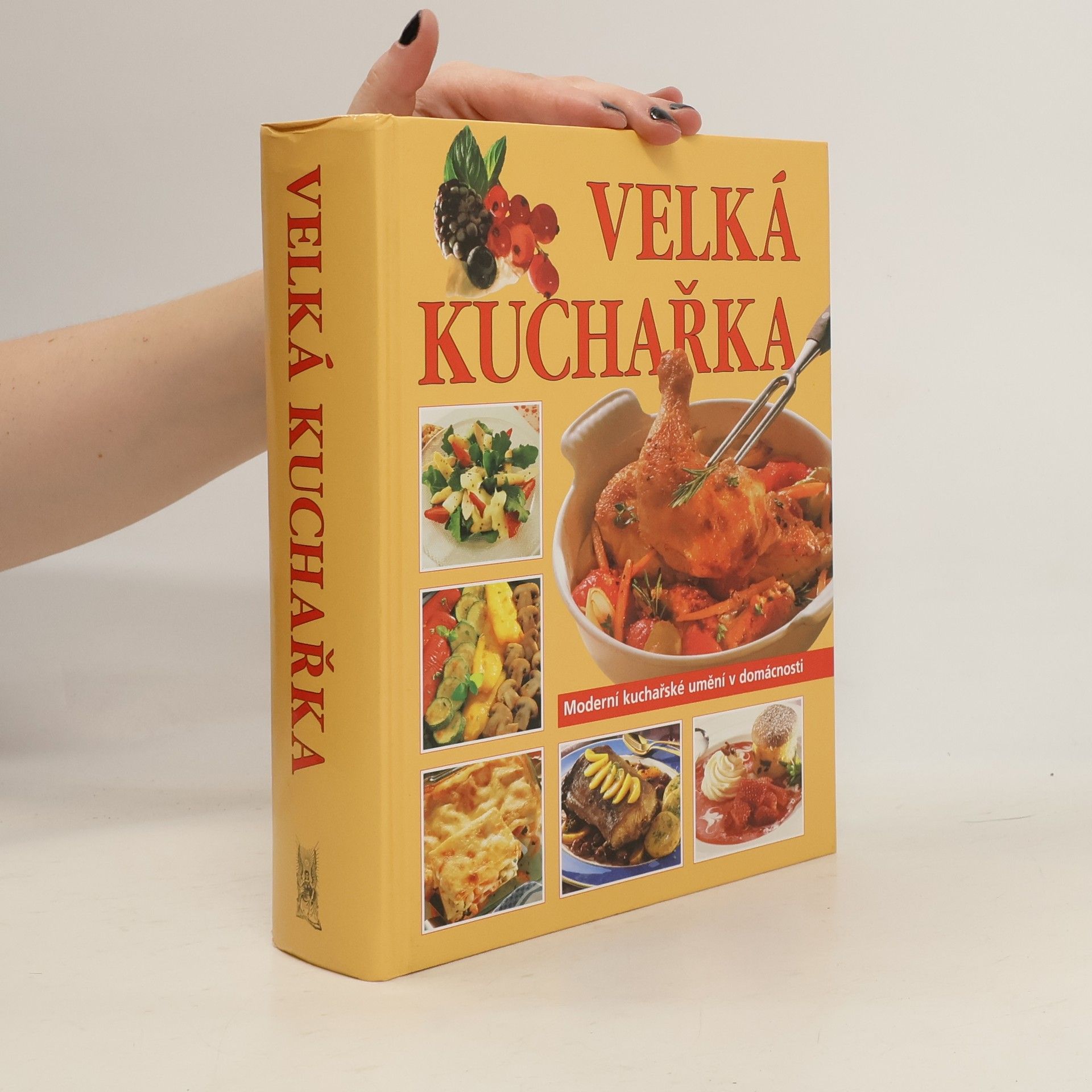 Kolektív autorov Velká kuchařka