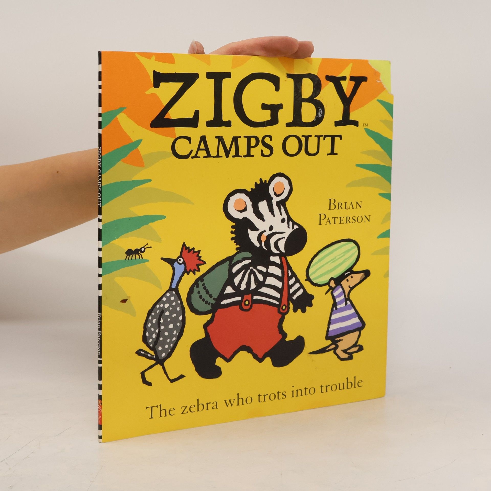 Brian Paterson Zigby Camps Out