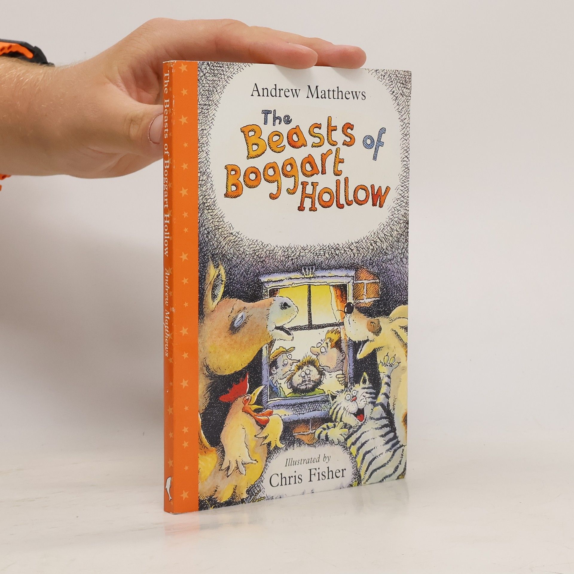 Andrew Matthews The Beasts of Boggart Hollow