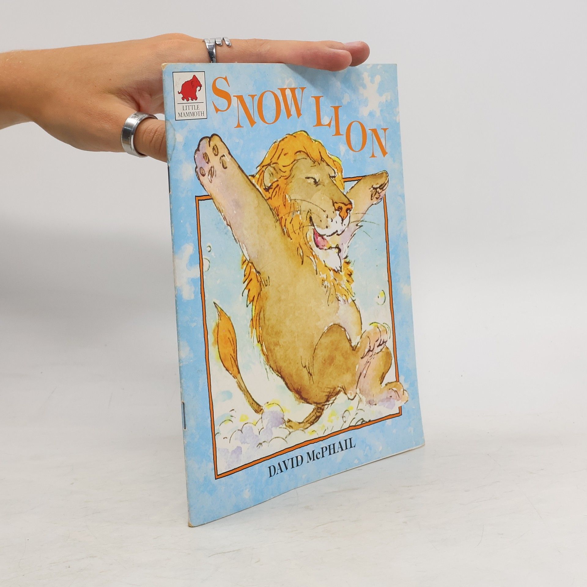 David McPhail Snow Lion