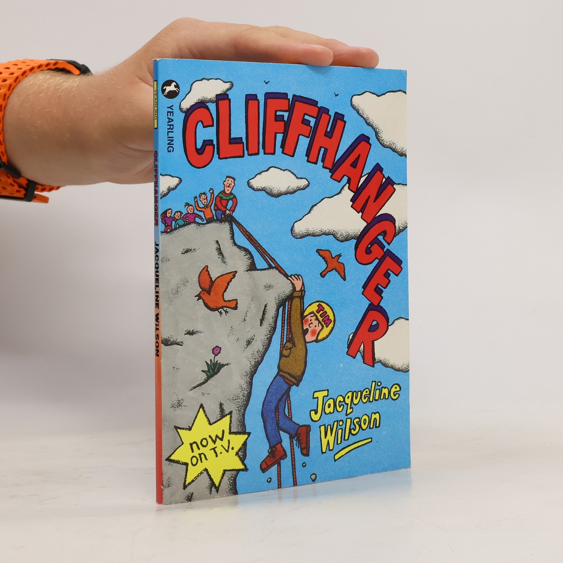 Jacqueline Wilson Cliffhanger.
