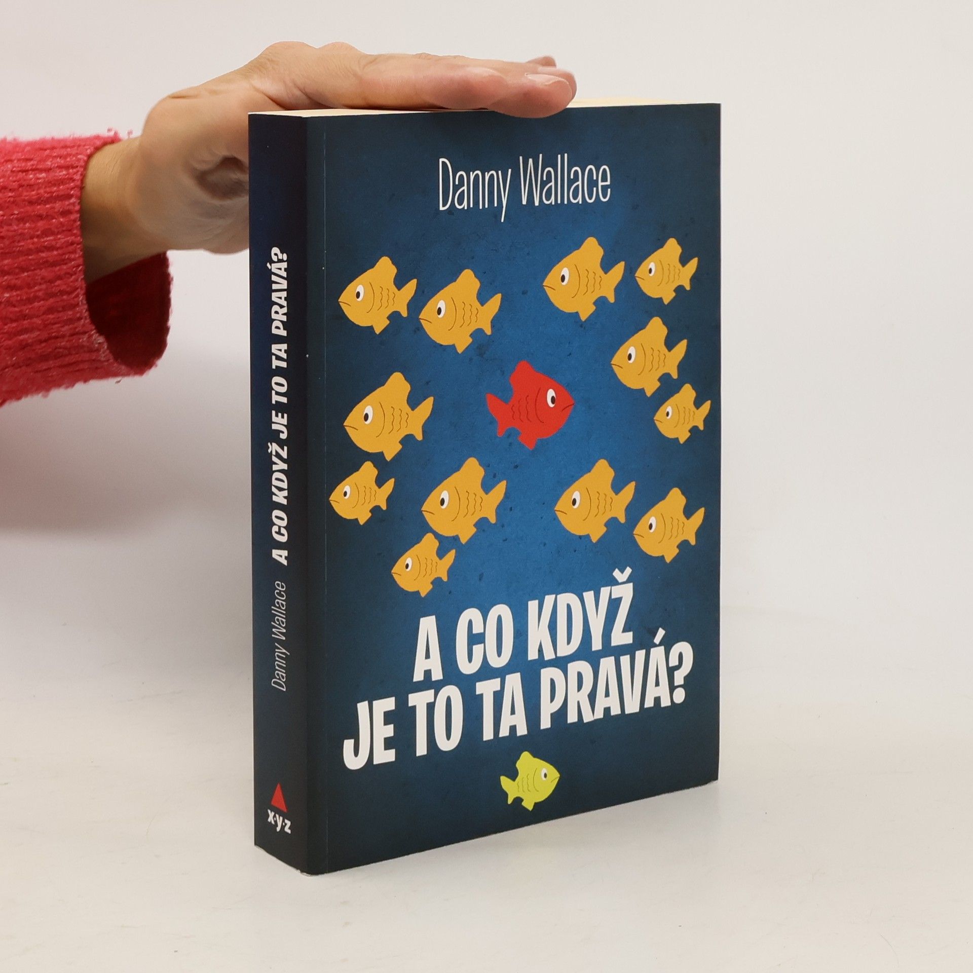 Danny Wallace A co když je to ta pravá?