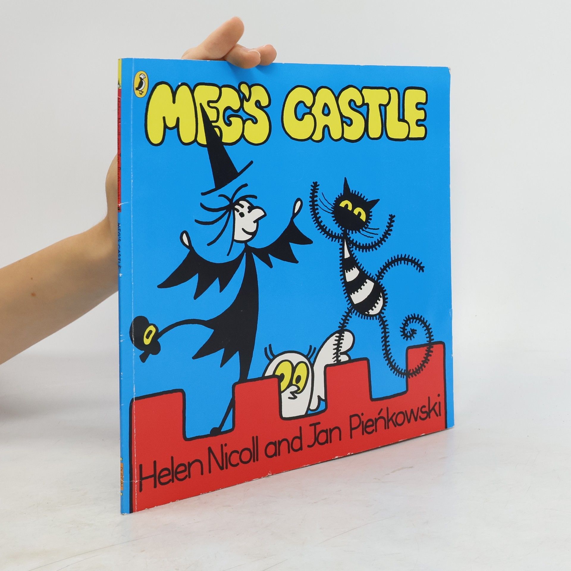 Helen Nicol Meg's Castle