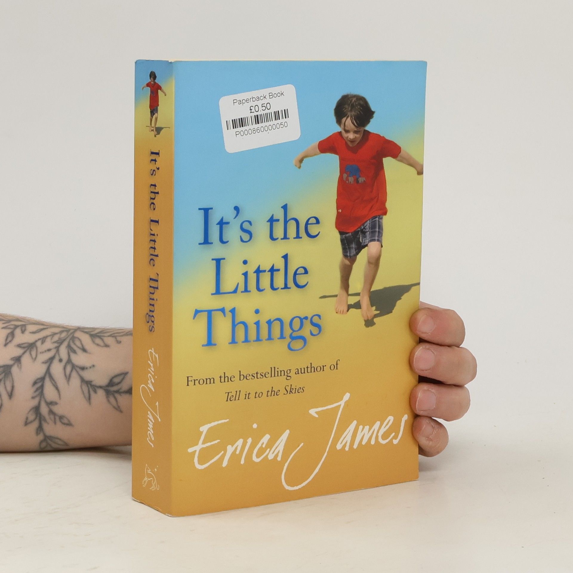 Erica James It's The Little Things