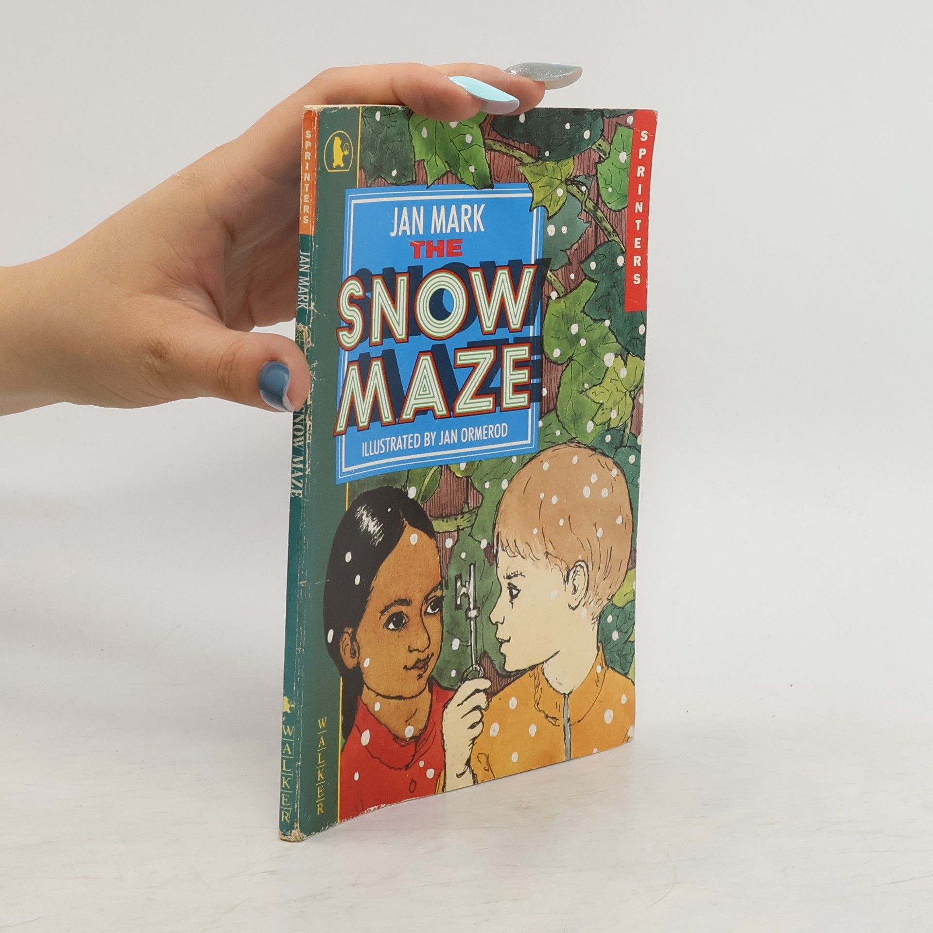 Jan Mark The Snow Maze