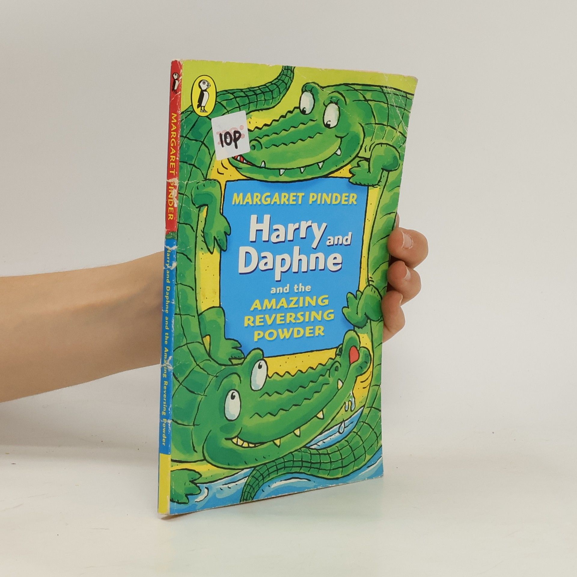Margaret Pinder Harry and Daphne and the amazing reversing powder
