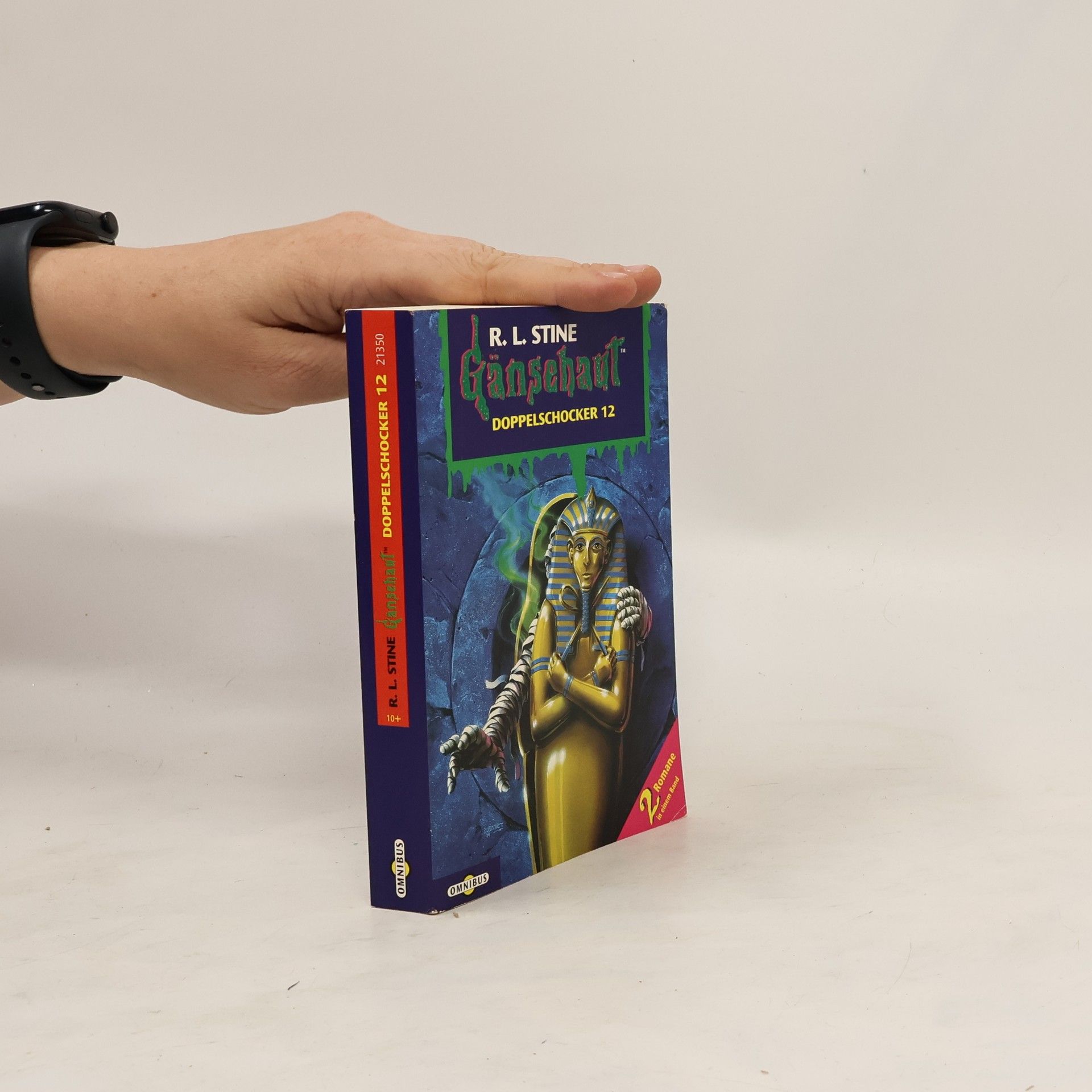 R. L. Stine Gänsehaut. Doppelschocker 12