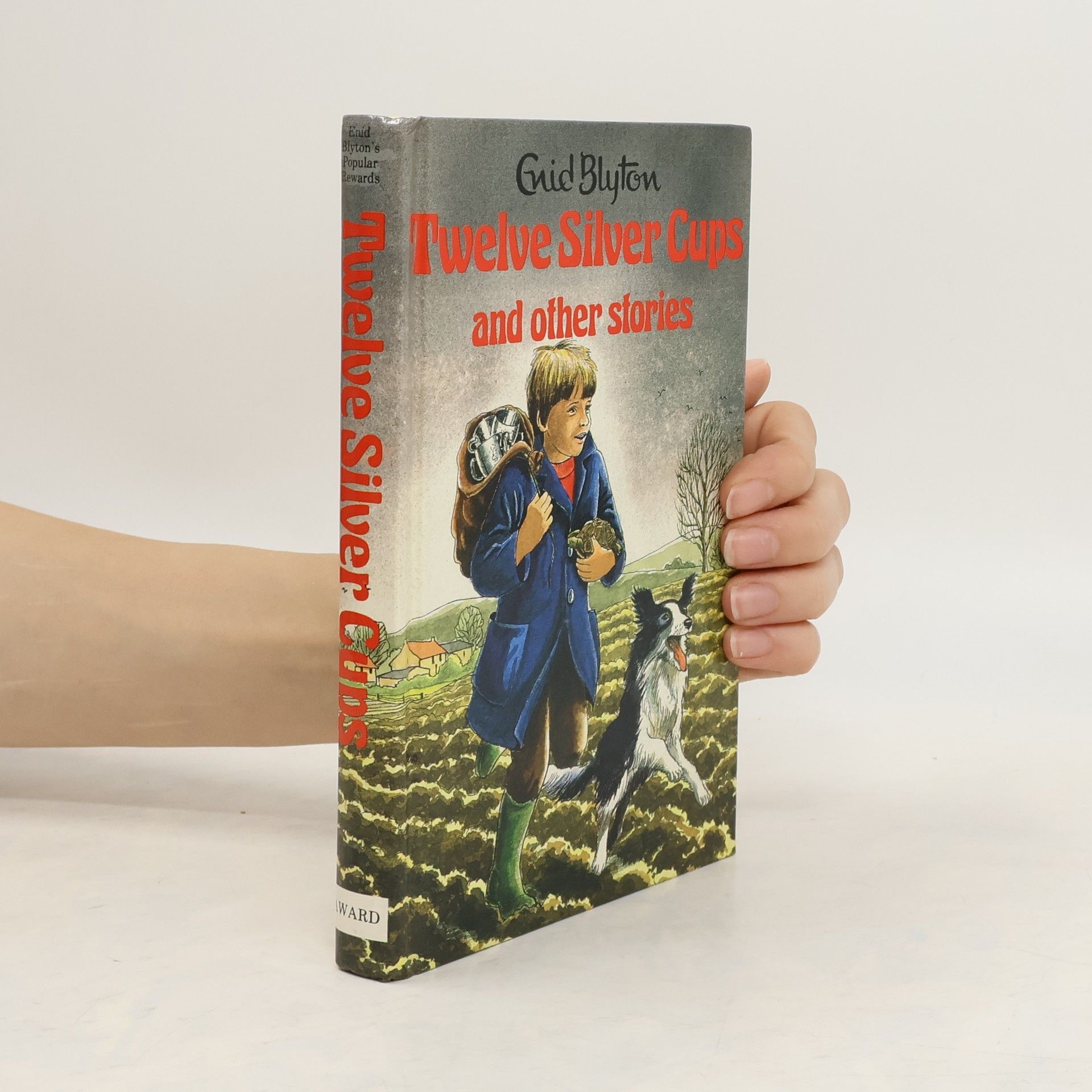 Enid Blyton Twelve Silver Cups