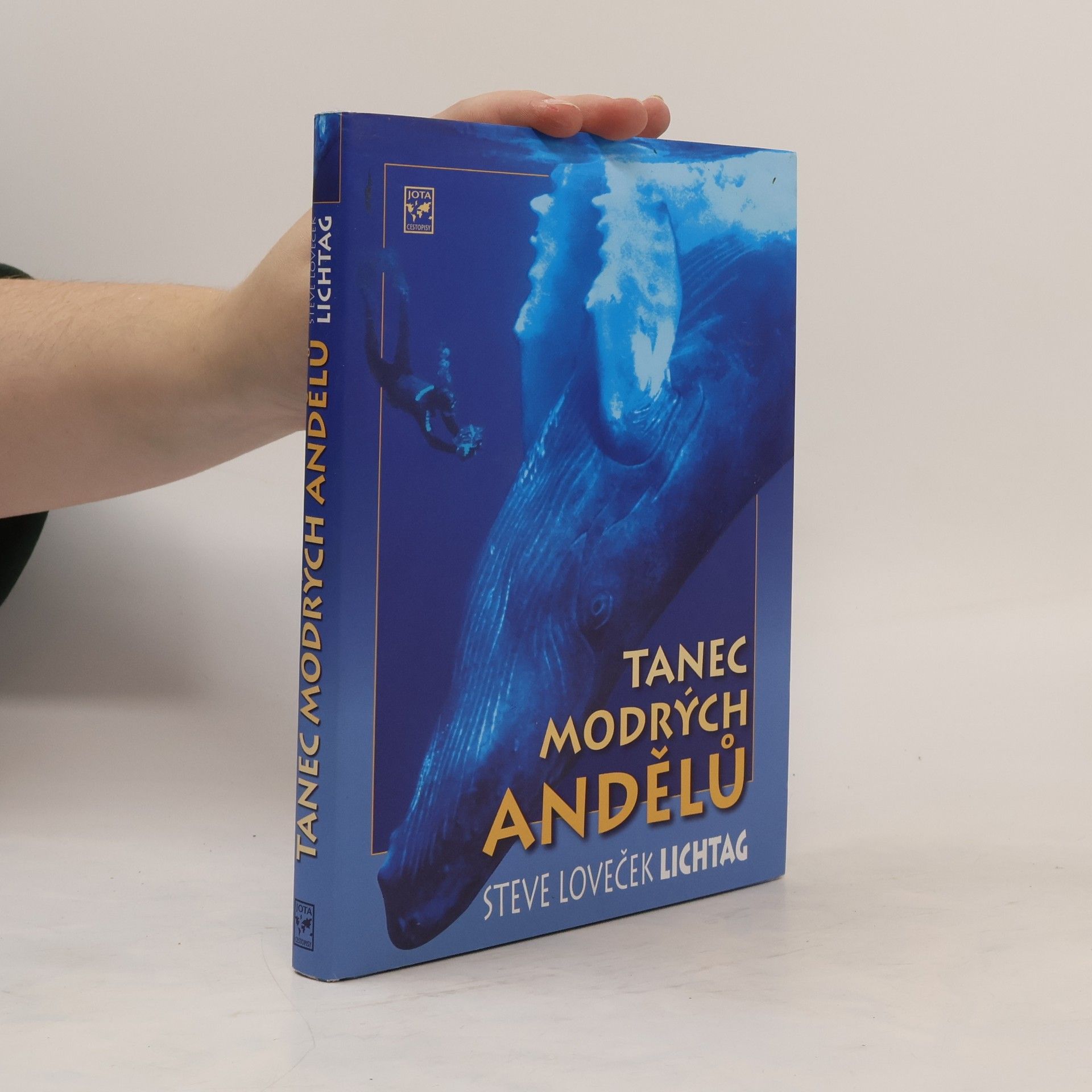 Steve Lichtag Tanec modrých andělů