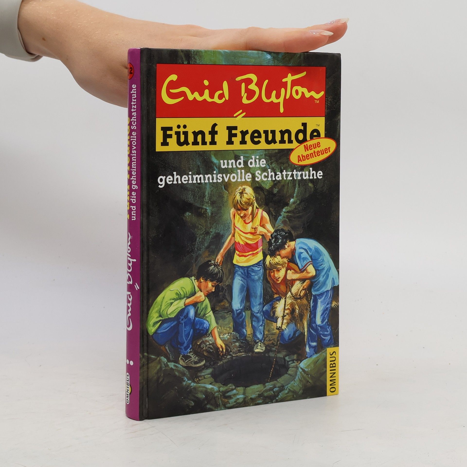 Enid Blyton Fünf Freunde und die geheimnisvolle Schatztruhe