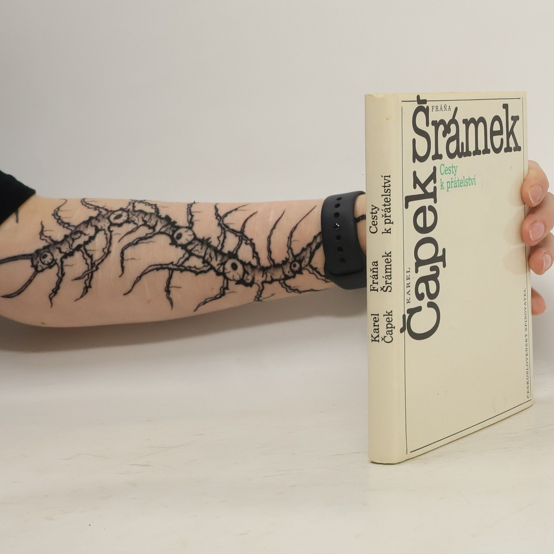 Cesty k přátelství