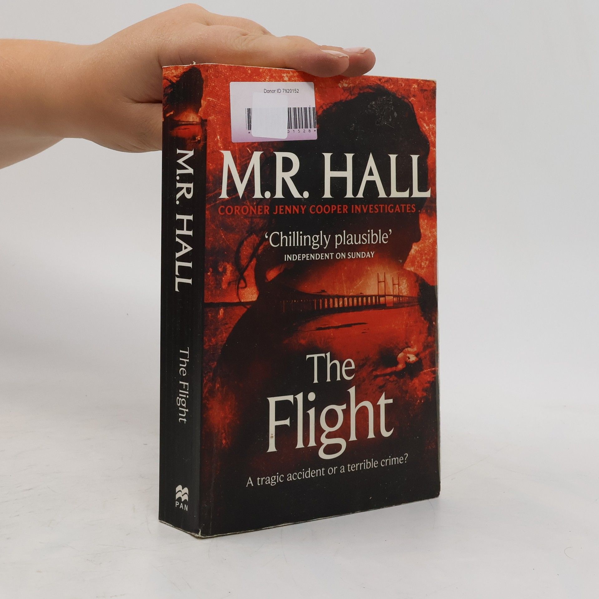 Mari Hall The Flight