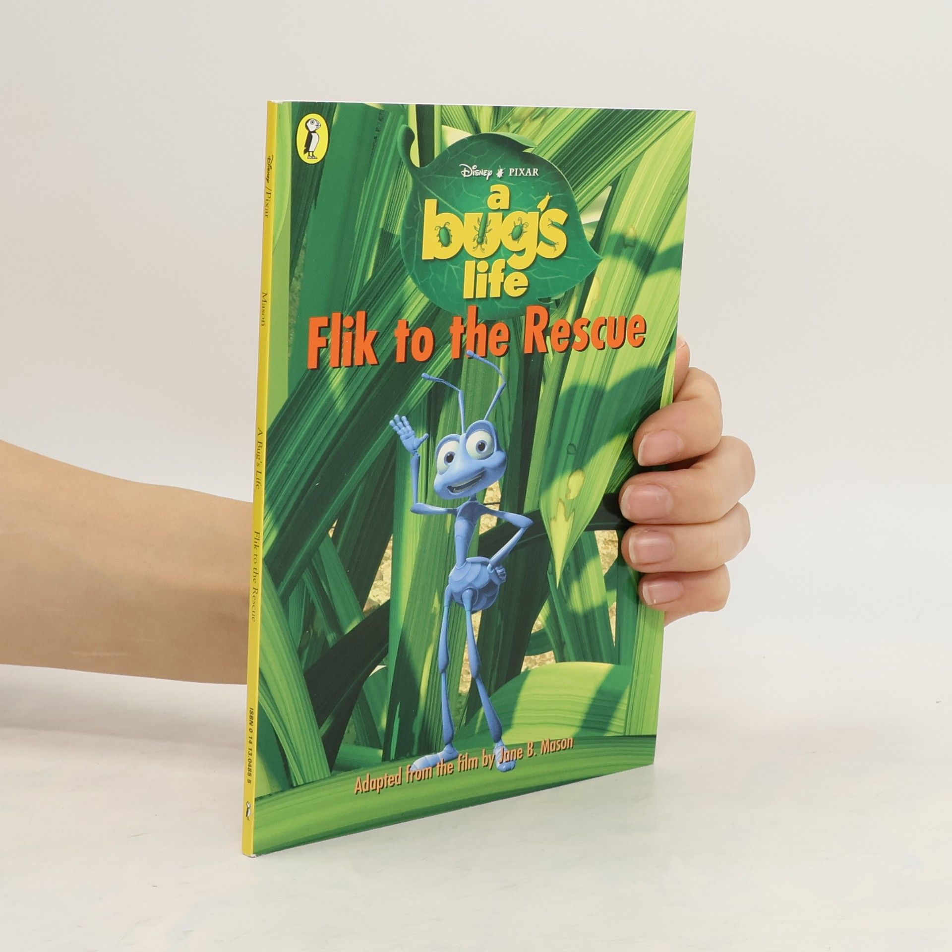 Jane B. Mason Flik to the Rescue
