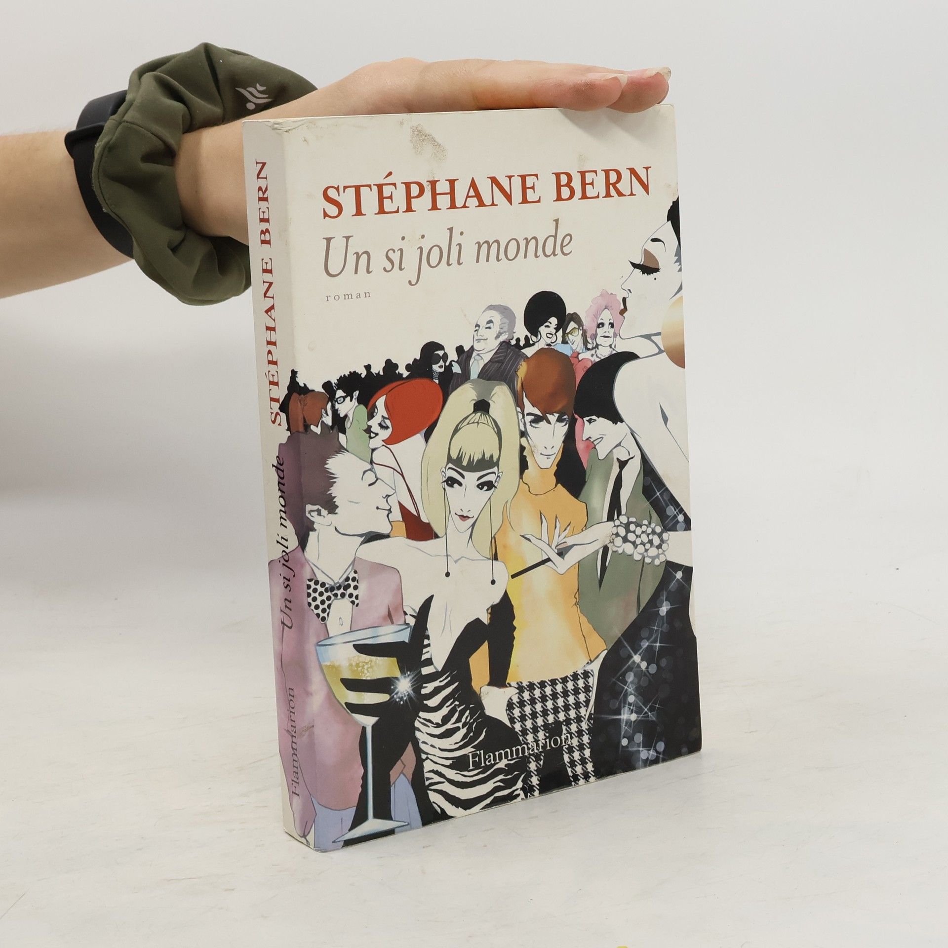Stéphane Bern Un si joli monde