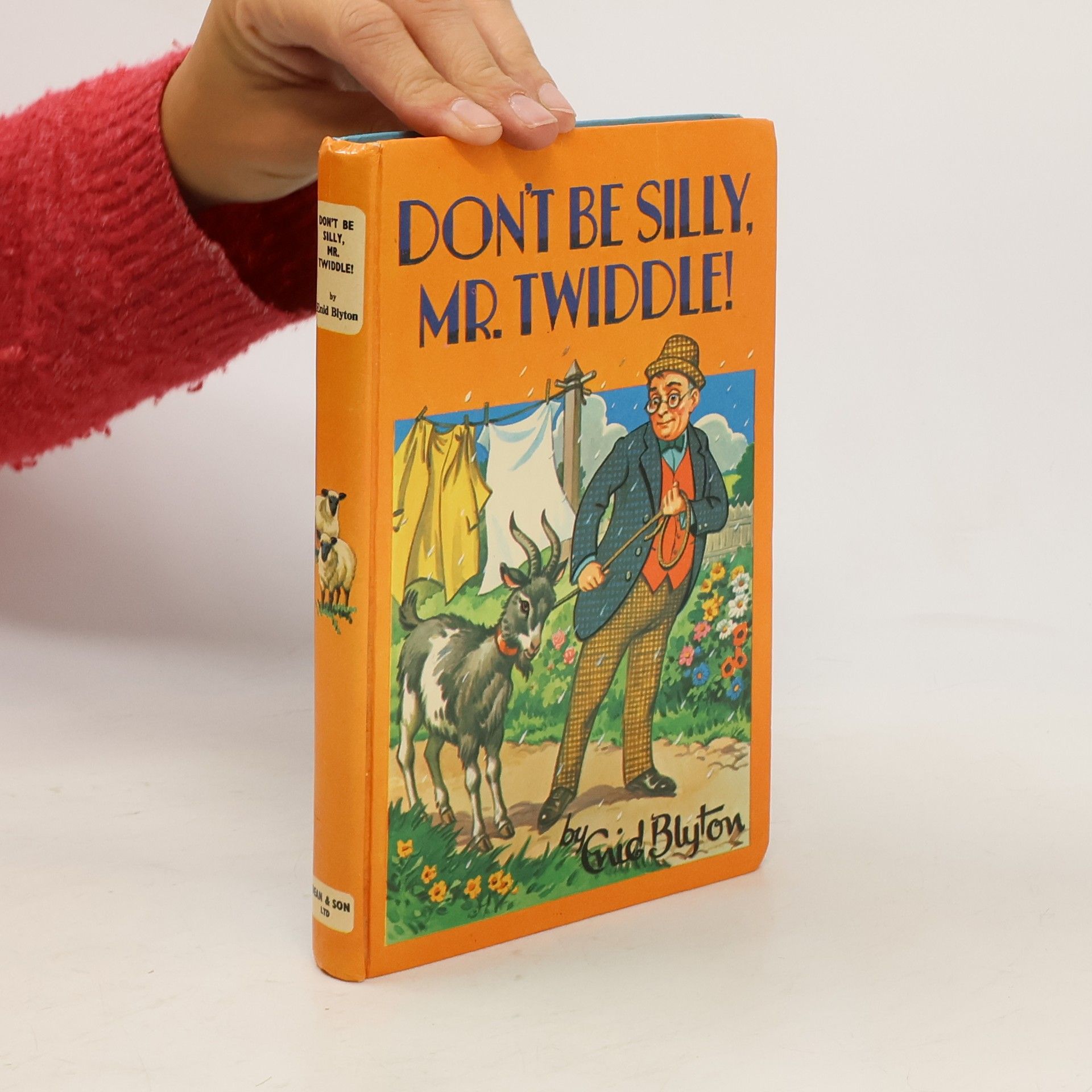 Enid Blyton Don't Be Silly, Mr. Twiddle!