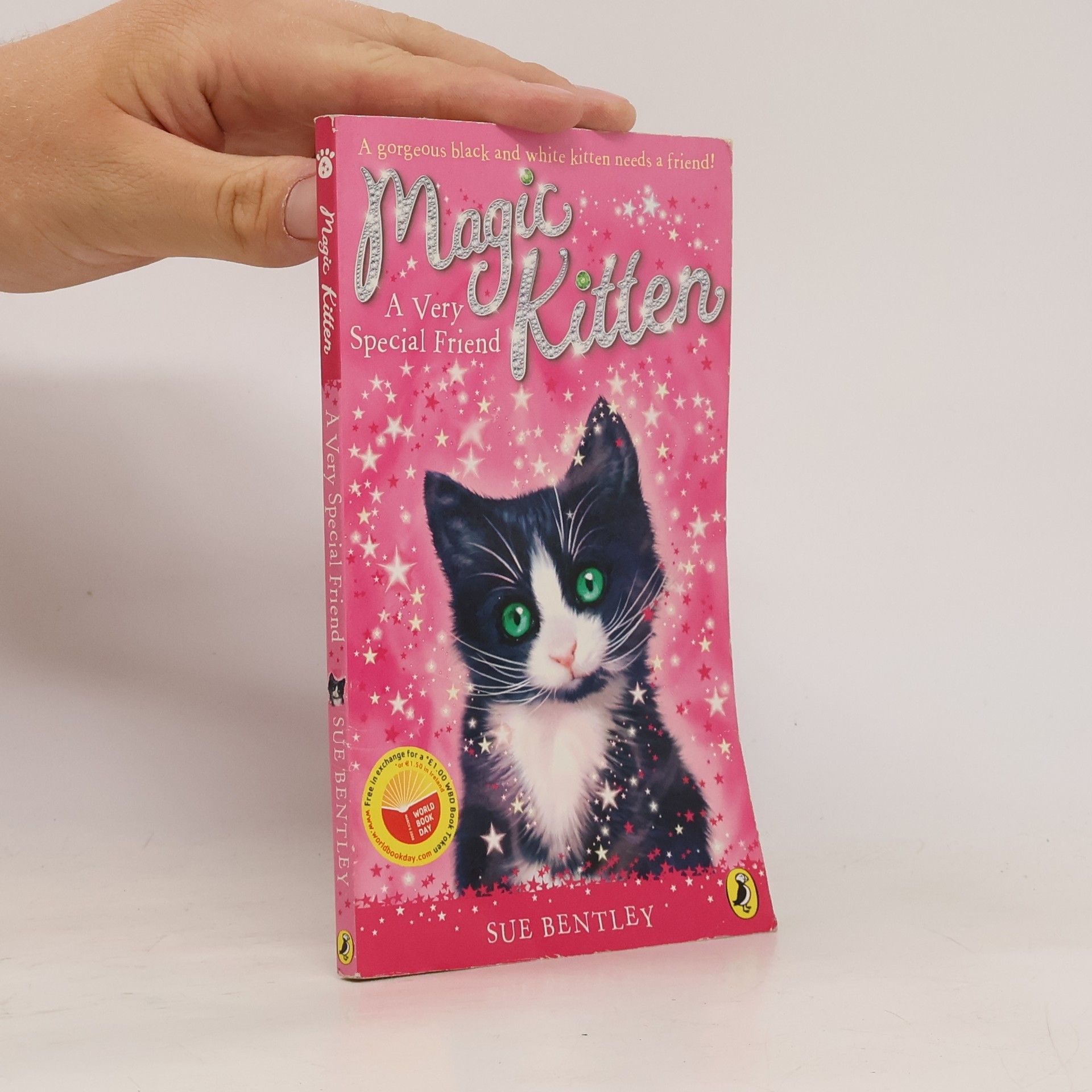 Sue Bentley Magic Kitten: A Very Special Friend