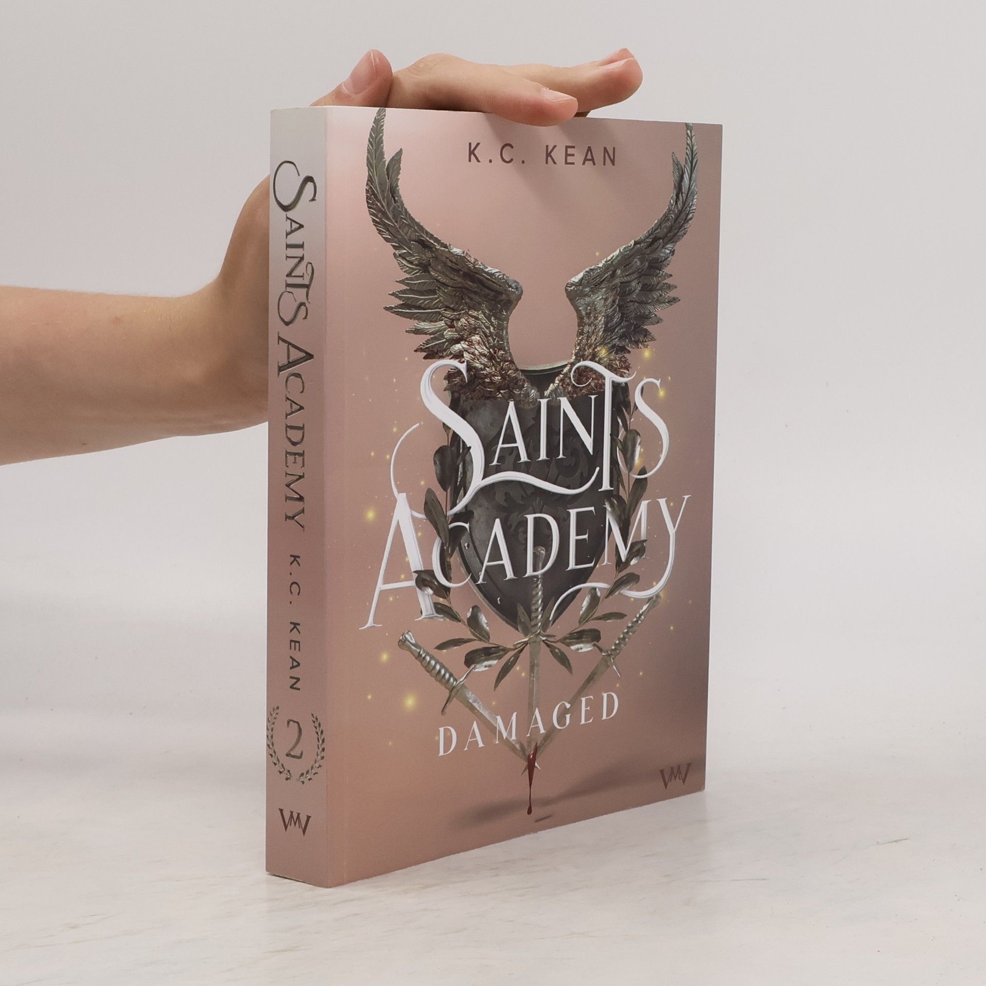 K. C. Kean Saints Academy 2 - Damaged