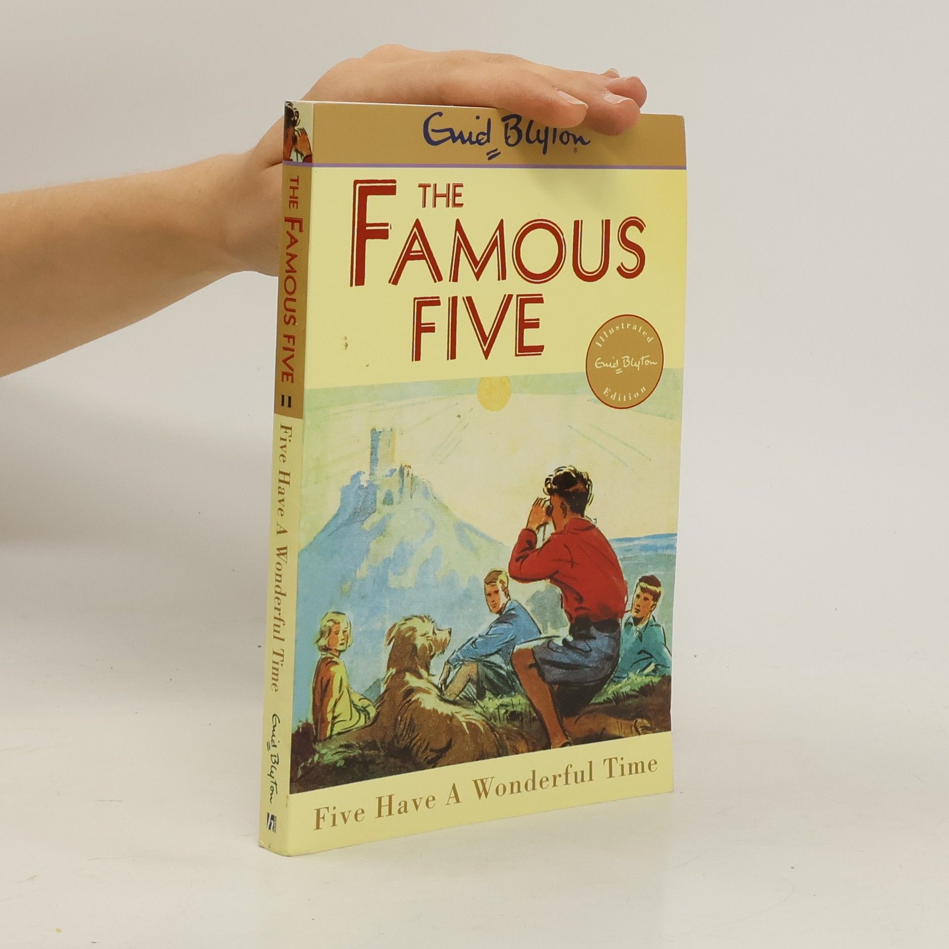 Enid Blyton Famous Five: Five Have A Wonderful Time