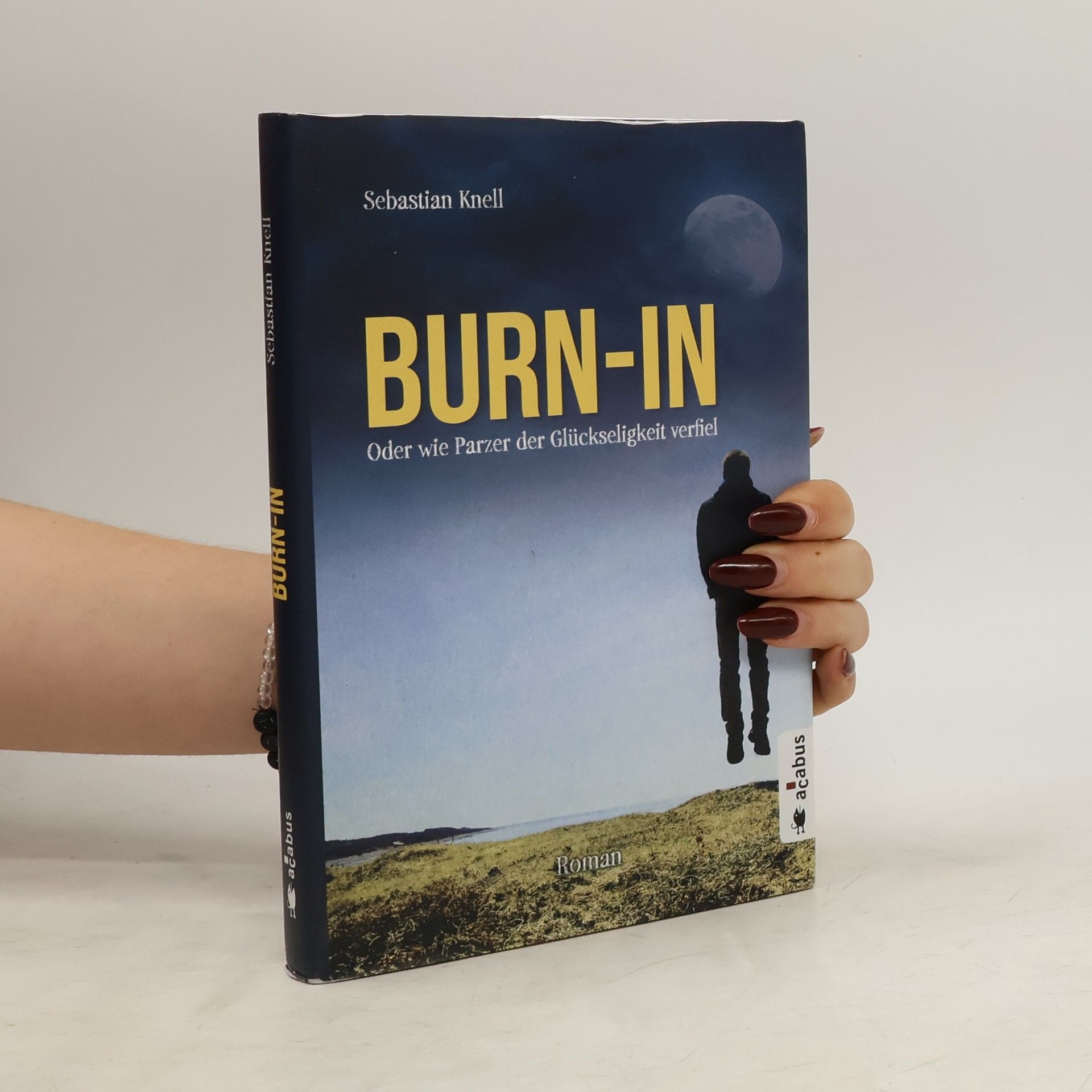 Sebastian Knell Burn-In oder Wie Parzer der Glückseligkeit verfiel