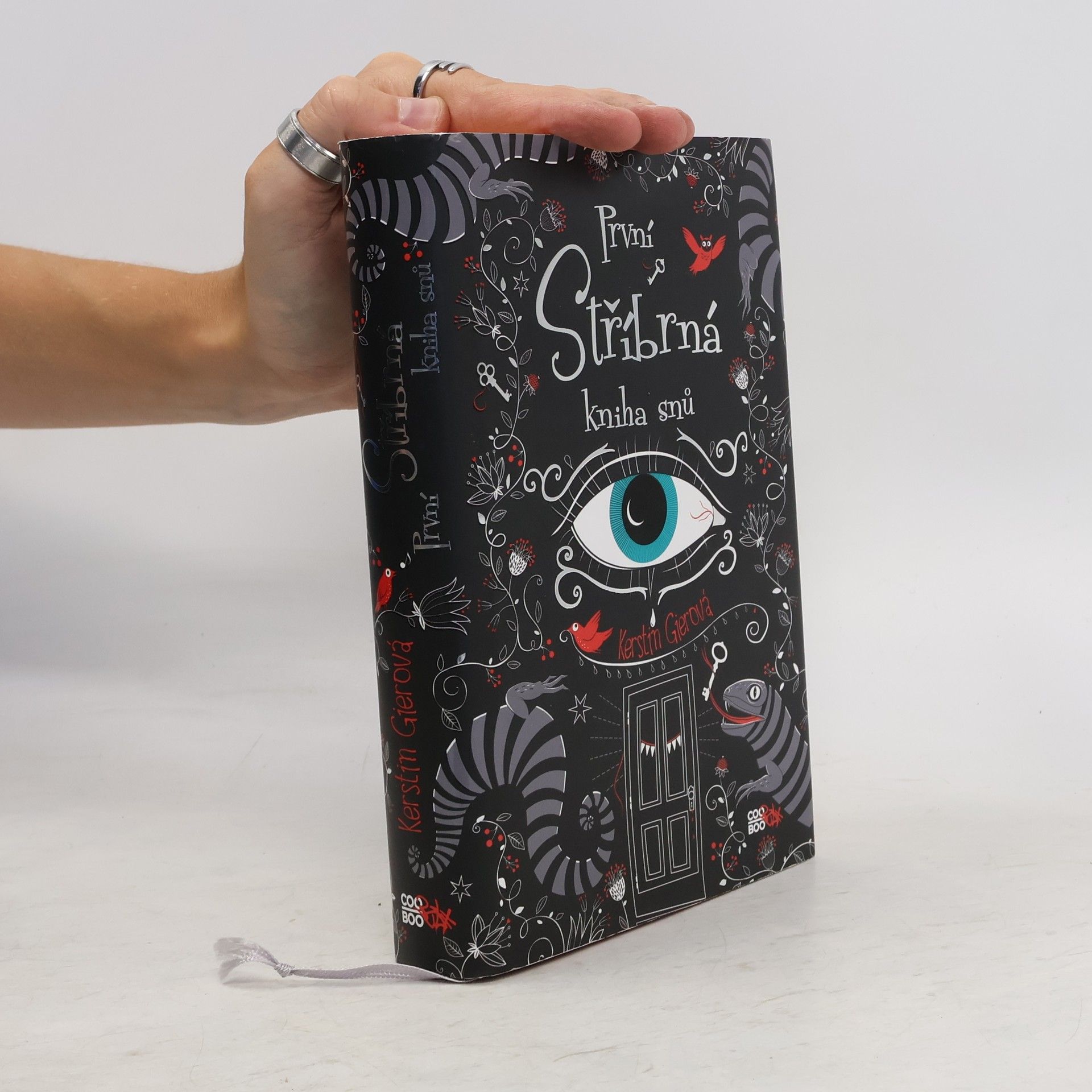 Kerstin Gier První stříbrná kniha snů