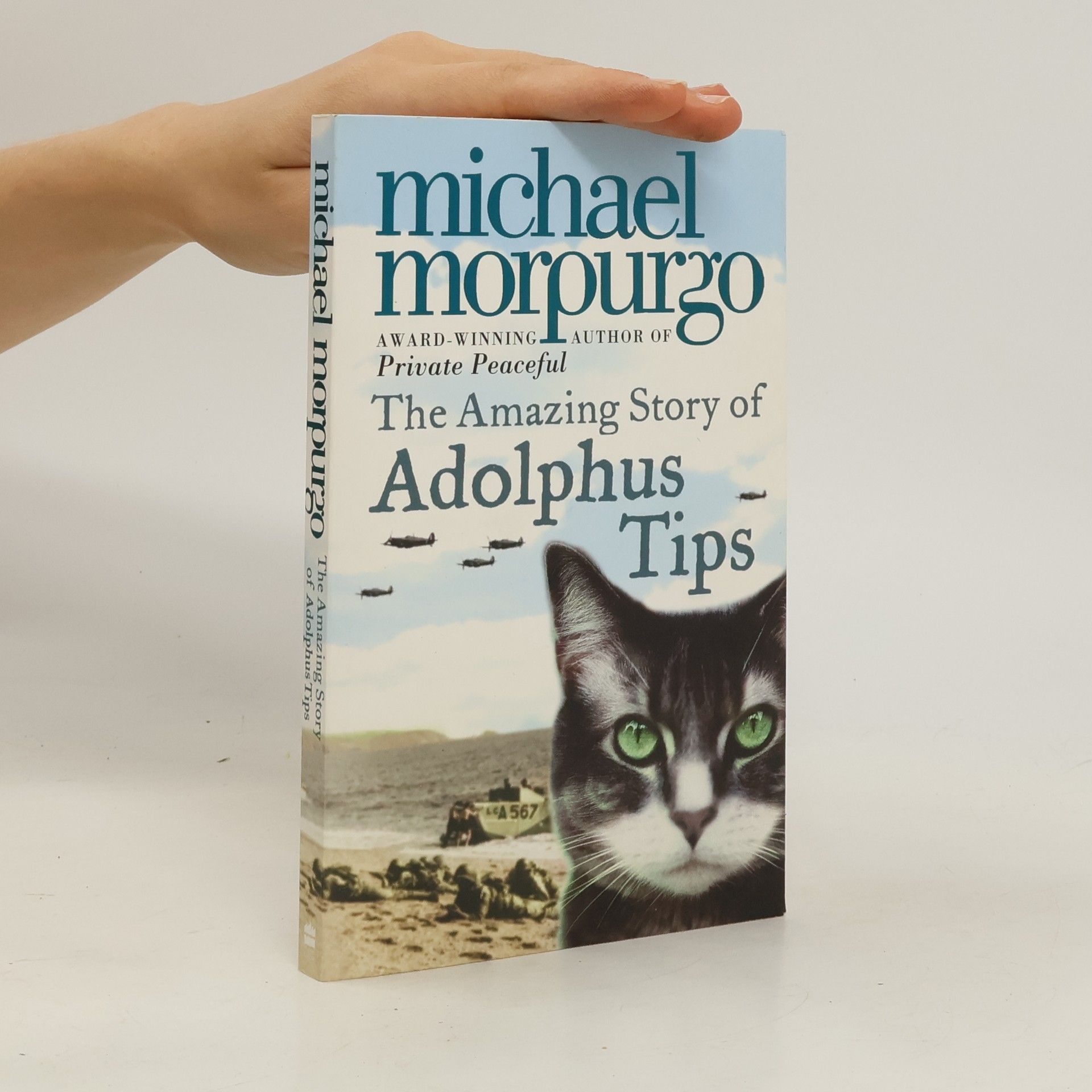Michael Morpugo The Amazing Story of Adolphus Tips