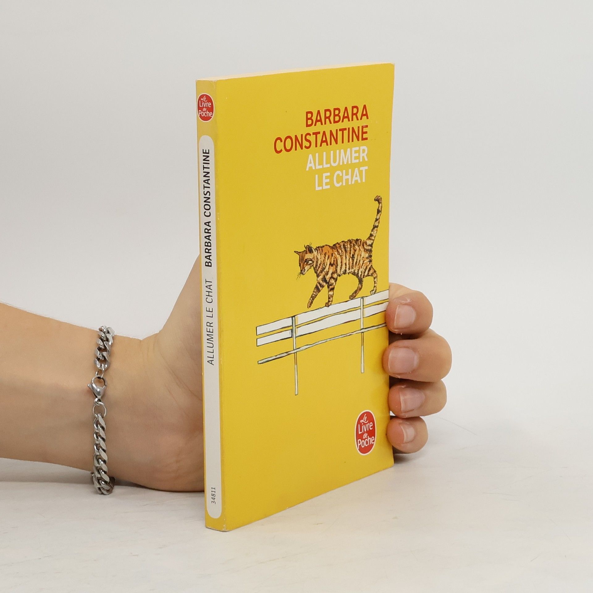 Barbara Constantine Allumer le chat