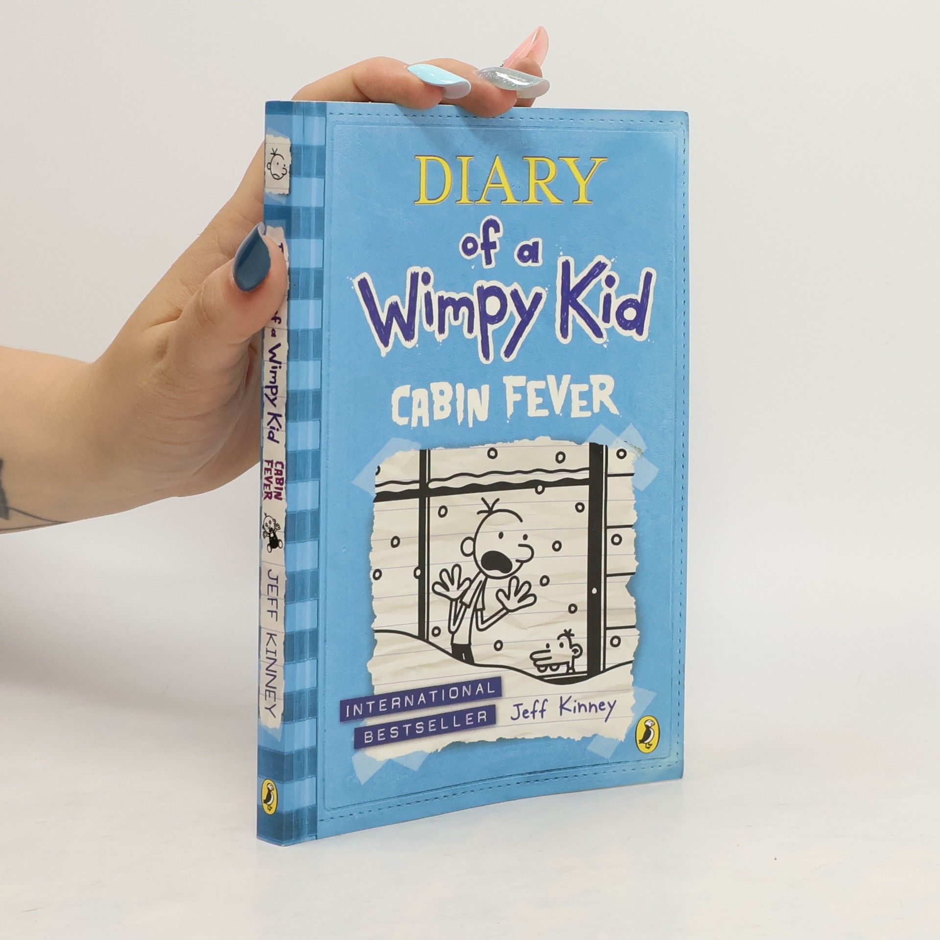 Jeff Kinney Diary of a Wimpy Kid: Cabin Fever (Book 6)