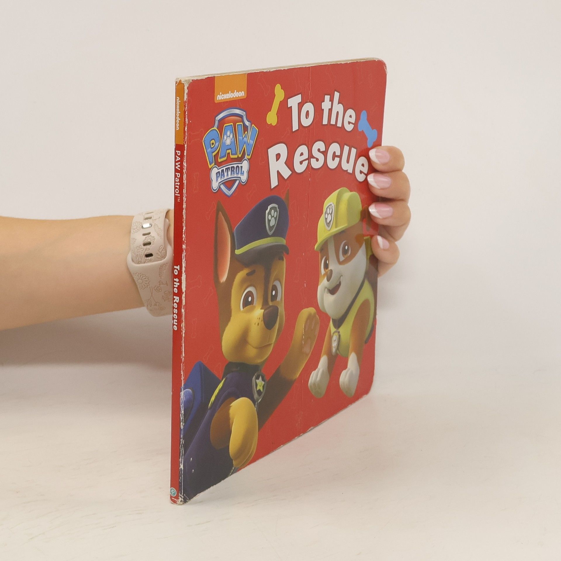 kolektiv Paw Patrol. To the Rescue