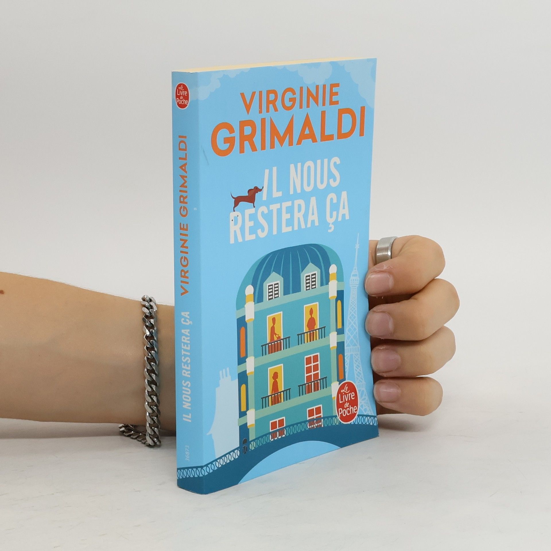 Virginie Grimaldi Il nous restera ça